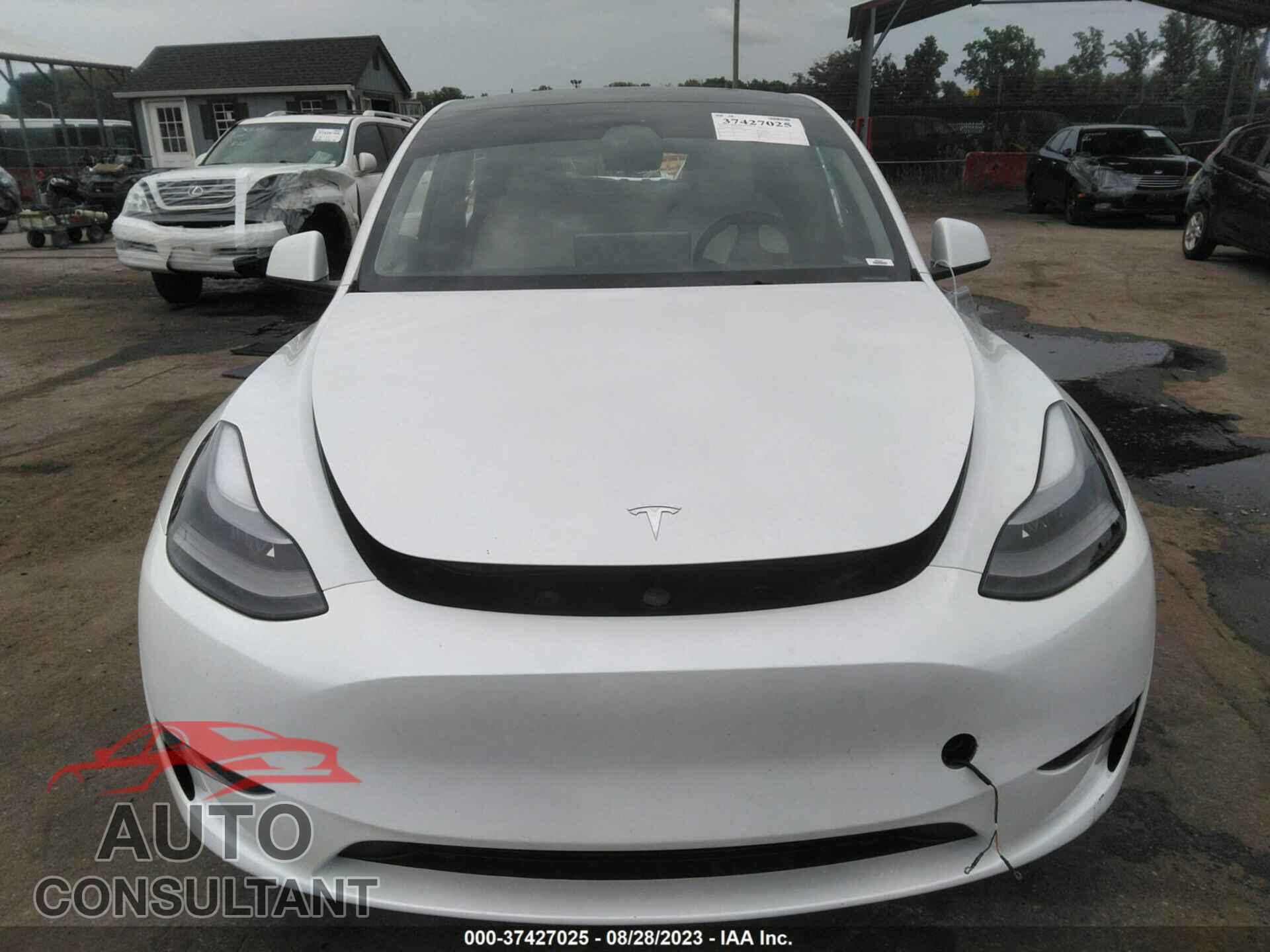 TESLA MODEL Y 2023 - 7SAYGAEE2PF646874