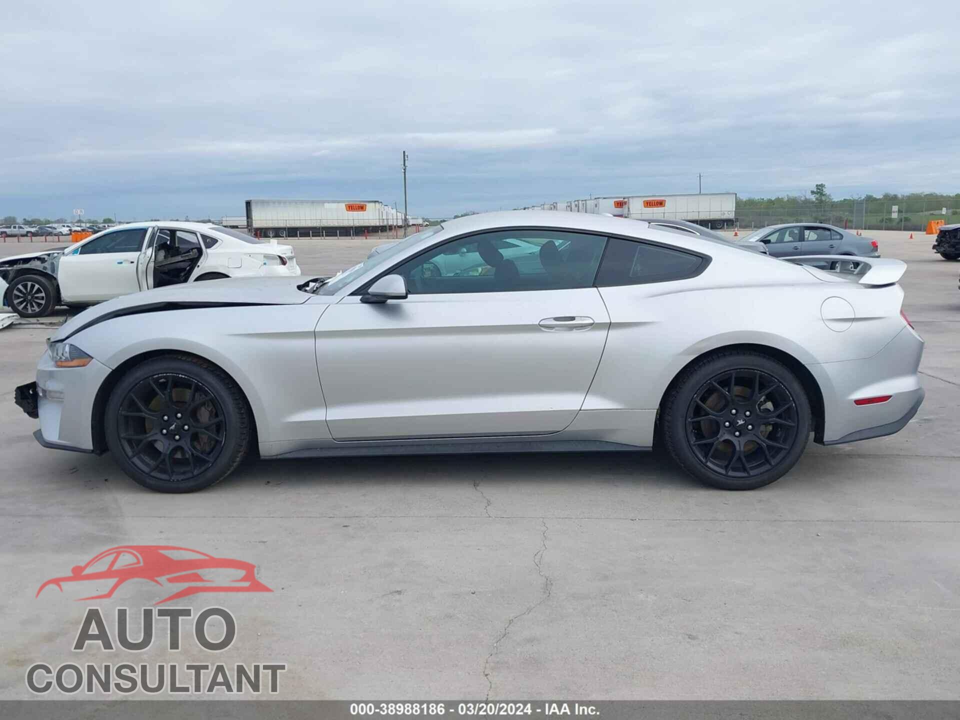 FORD MUSTANG 2019 - 1FA6P8TH7K5199999