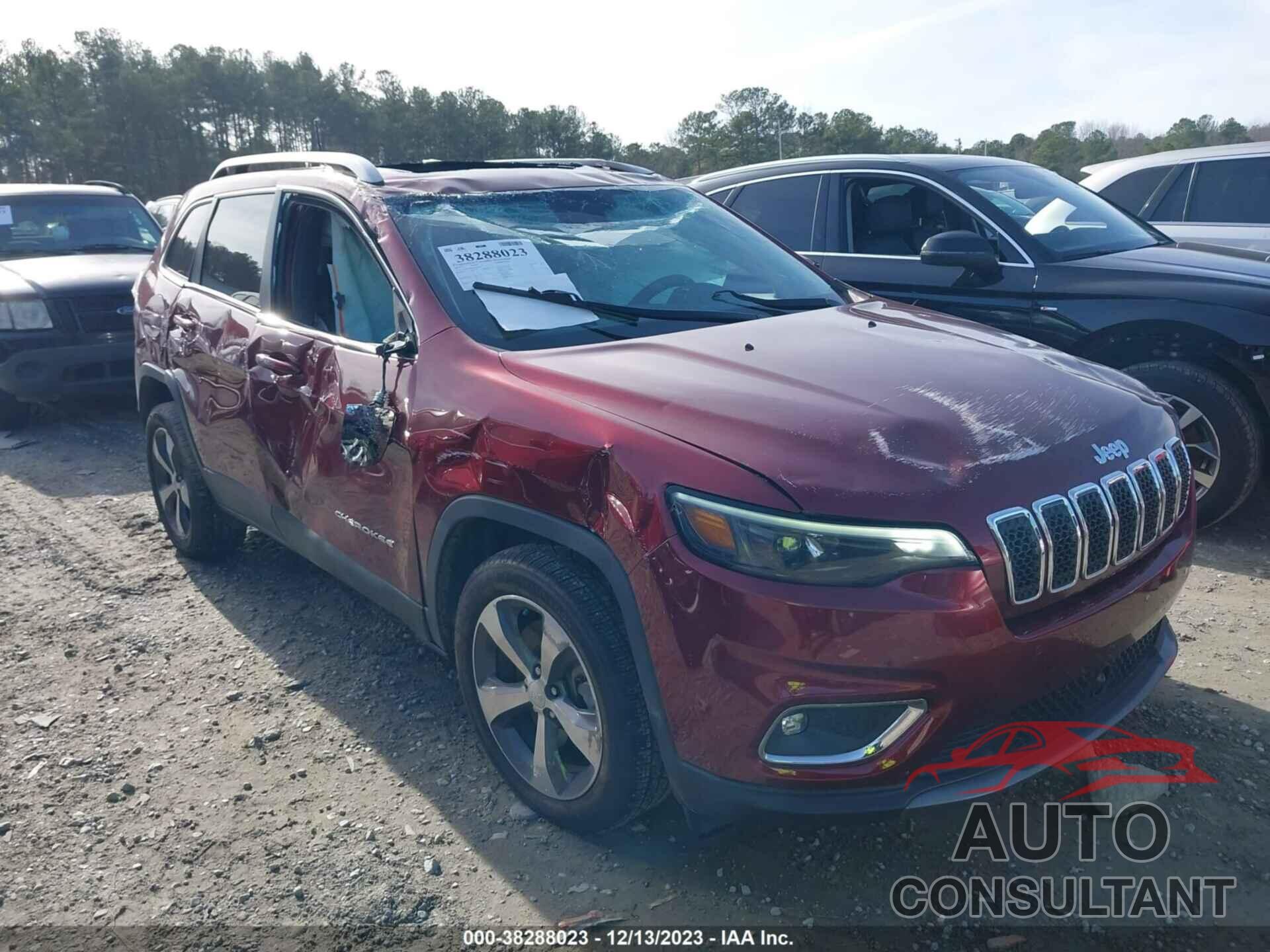 JEEP CHEROKEE 2019 - 1C4PJLDB7KD243213