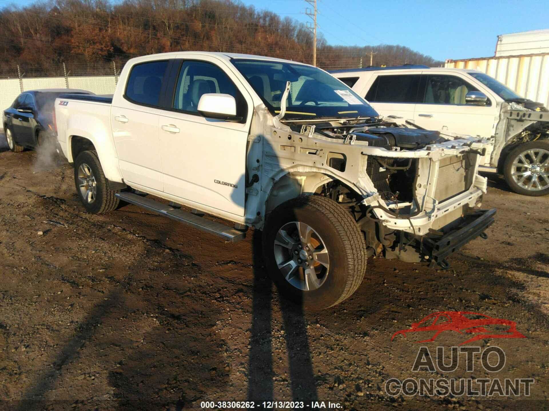 CHEVROLET COLORADO 2019 - 1GCGTDEN8K1100183