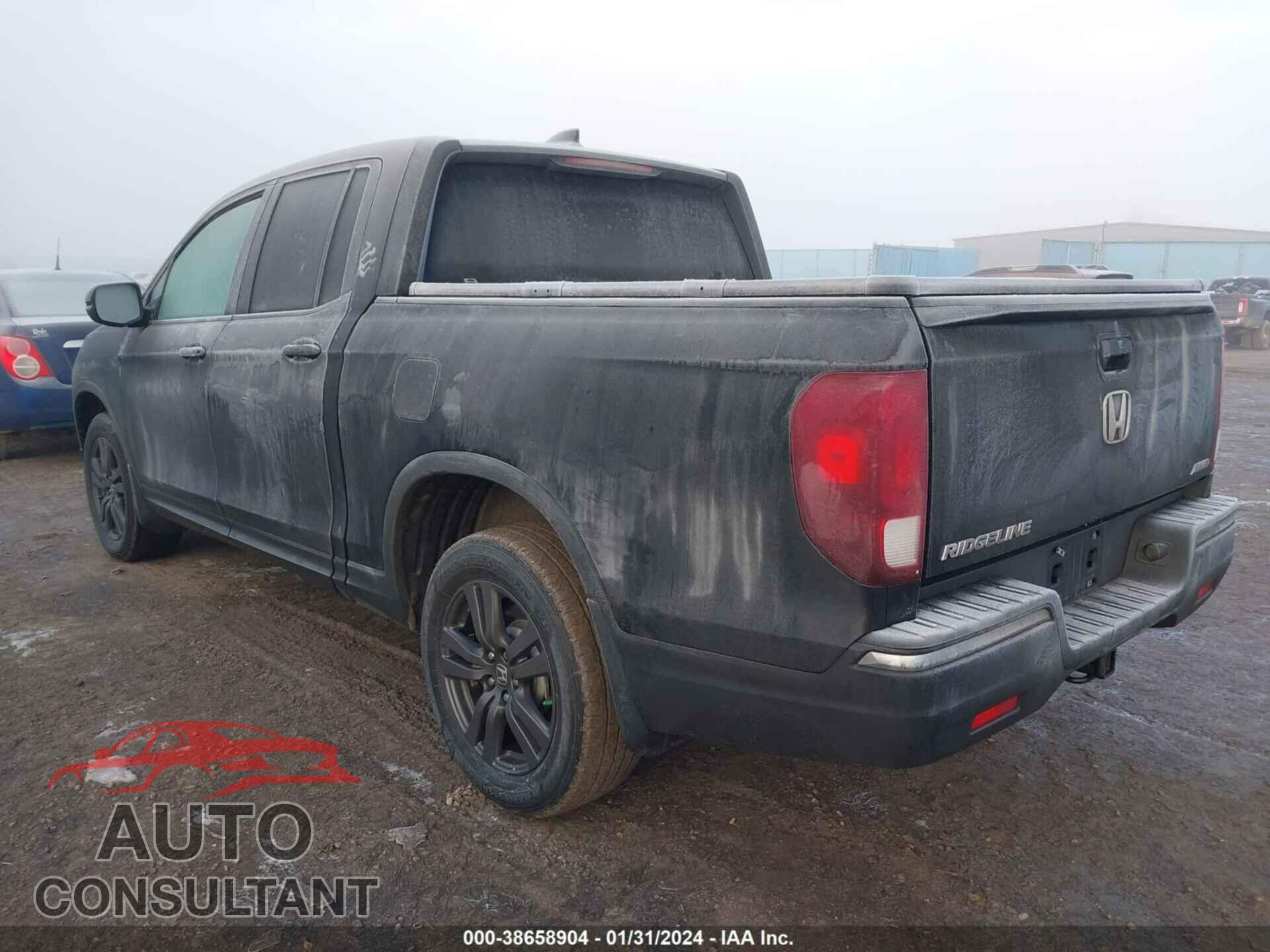HONDA RIDGELINE 2019 - 5FPYK3F16KB026466