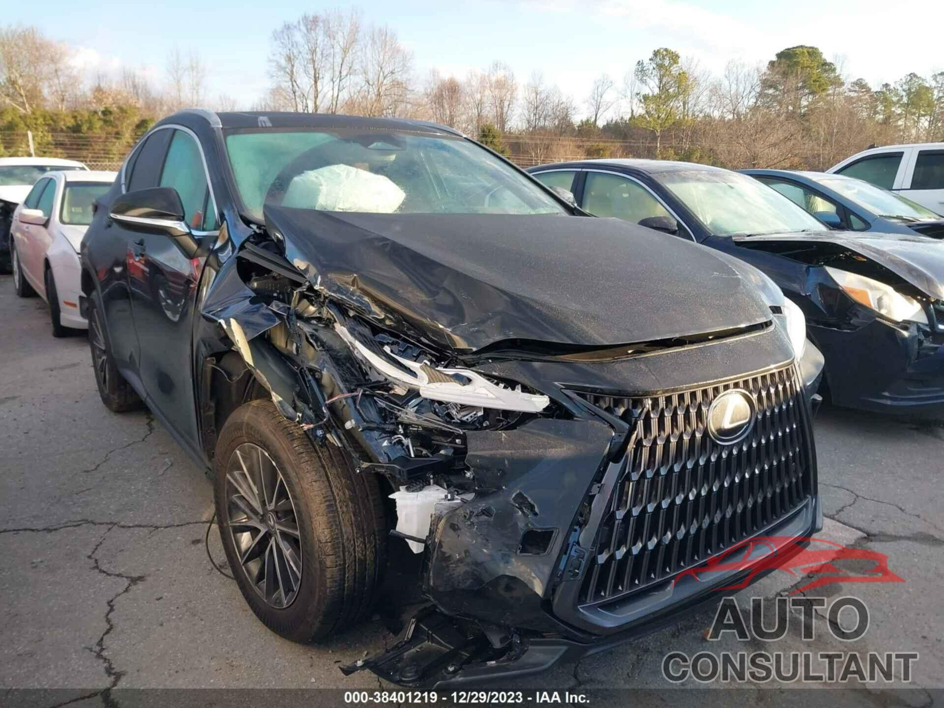 LEXUS NX 250 2024 - 2T2GDCAZ3RC010537