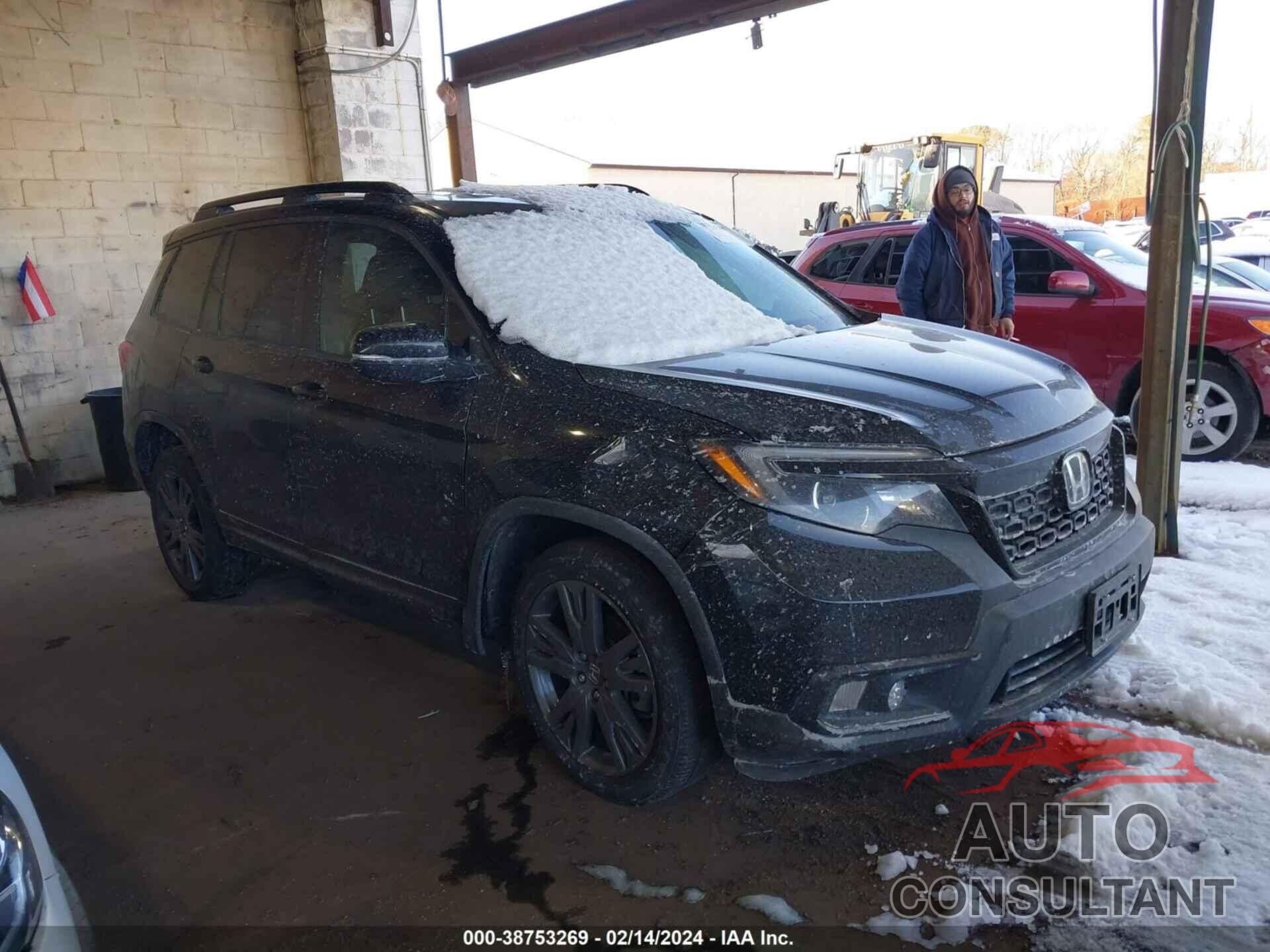 HONDA PASSPORT 2019 - 5FNYF8H56KB020824