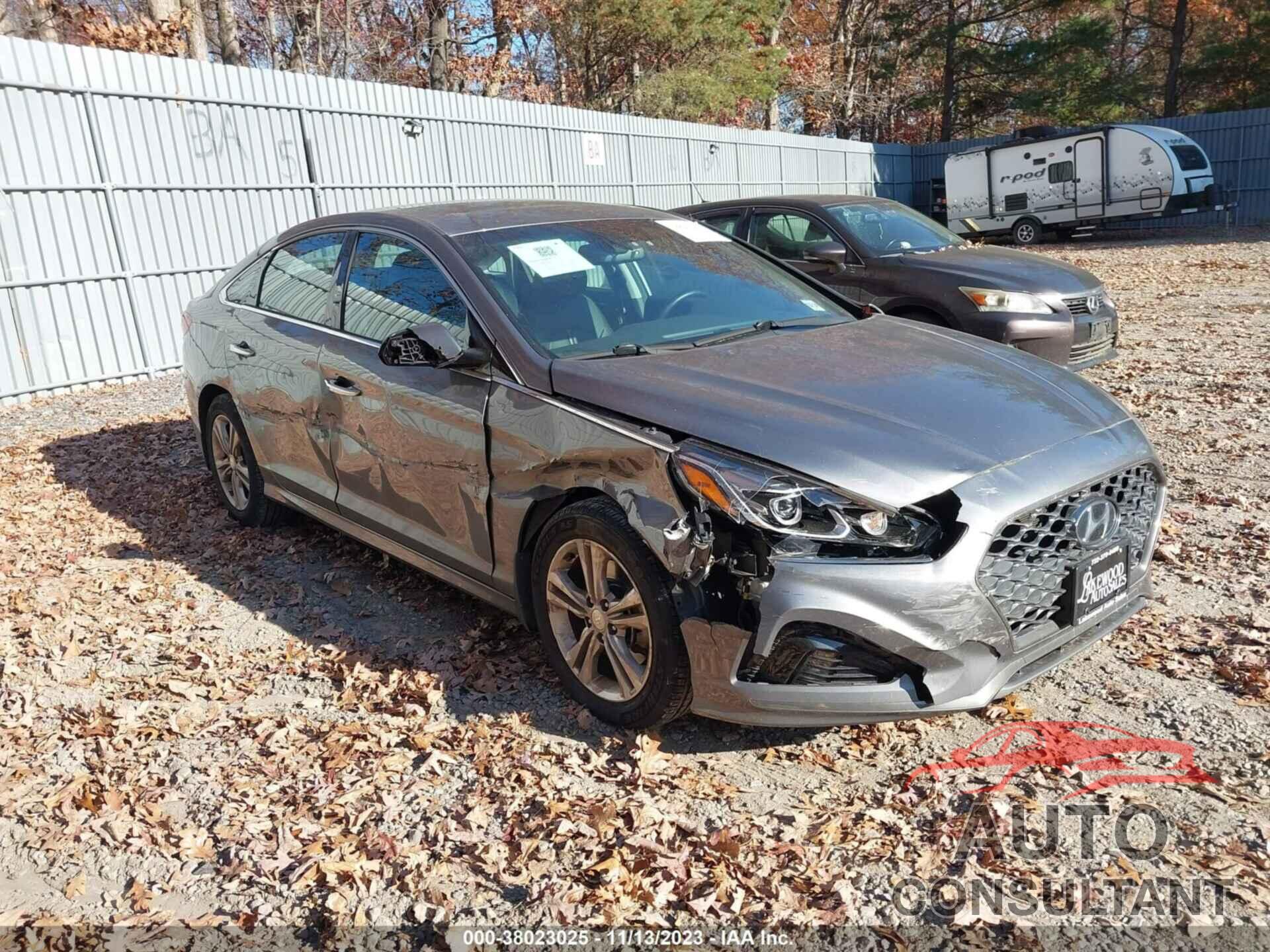 HYUNDAI SONATA 2019 - 5NPE34AF7KH816765