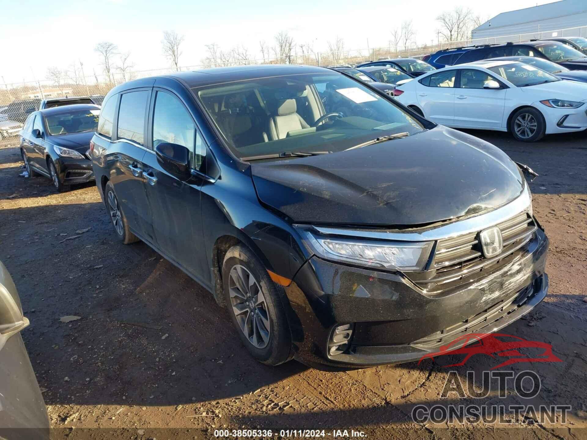 HONDA ODYSSEY 2023 - 5FNRL6H60PB036356