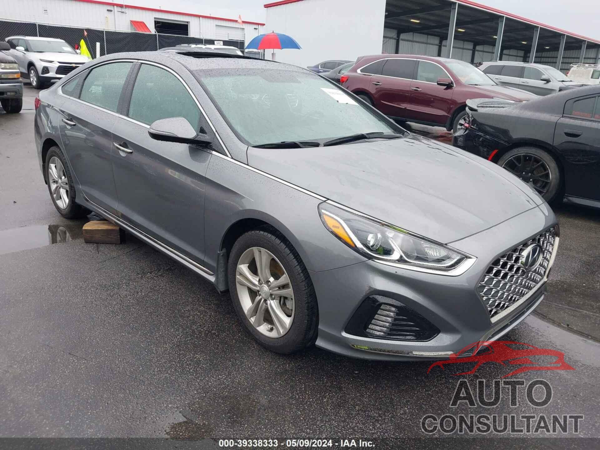 HYUNDAI SONATA 2019 - 5NPE34AF8KH791150