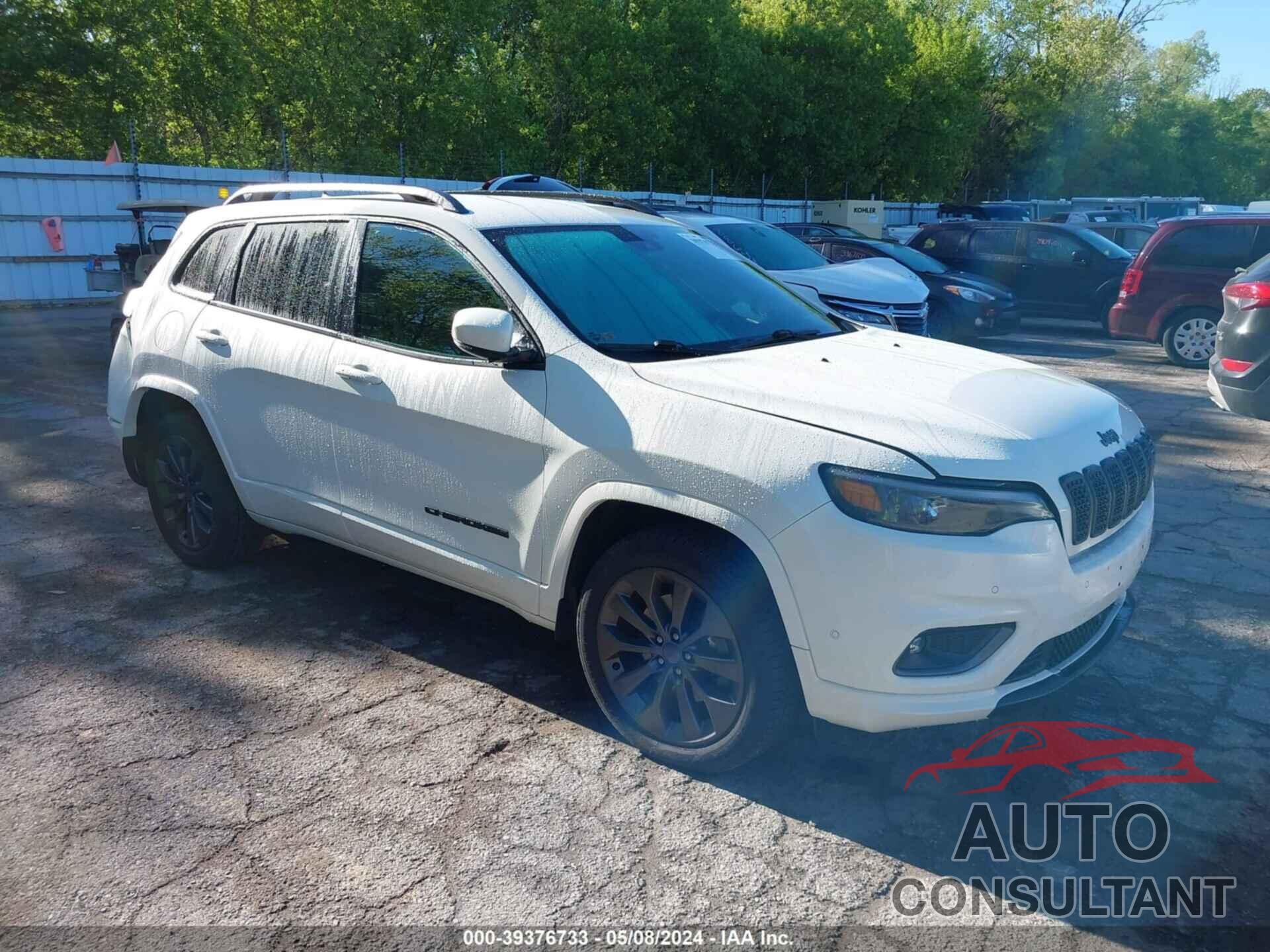 JEEP CHEROKEE 2019 - 1C4PJMDX6KD374263