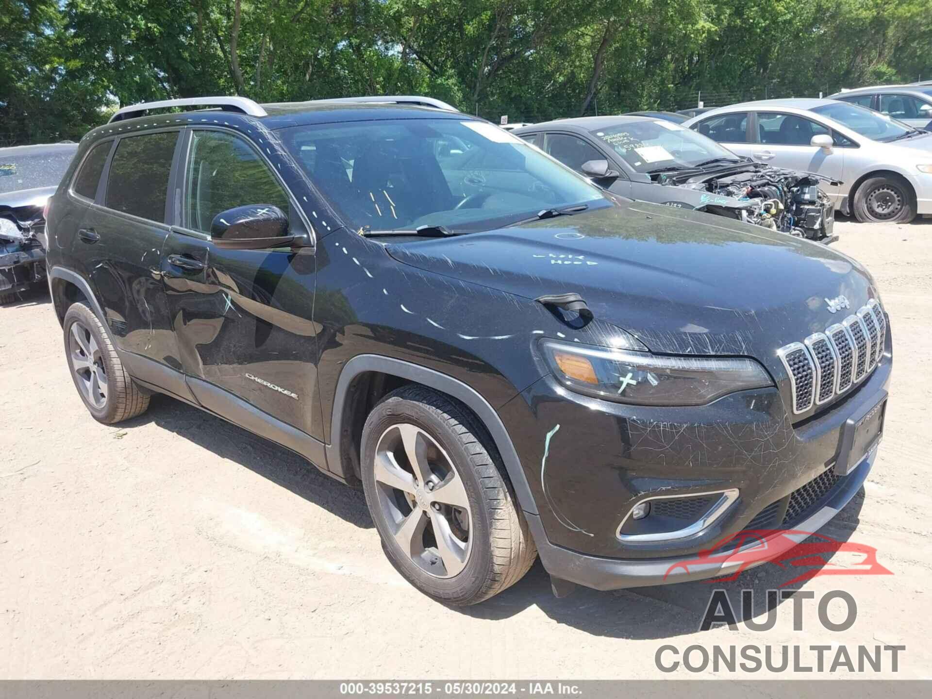 JEEP CHEROKEE 2019 - 1C4PJLDN5KD160681