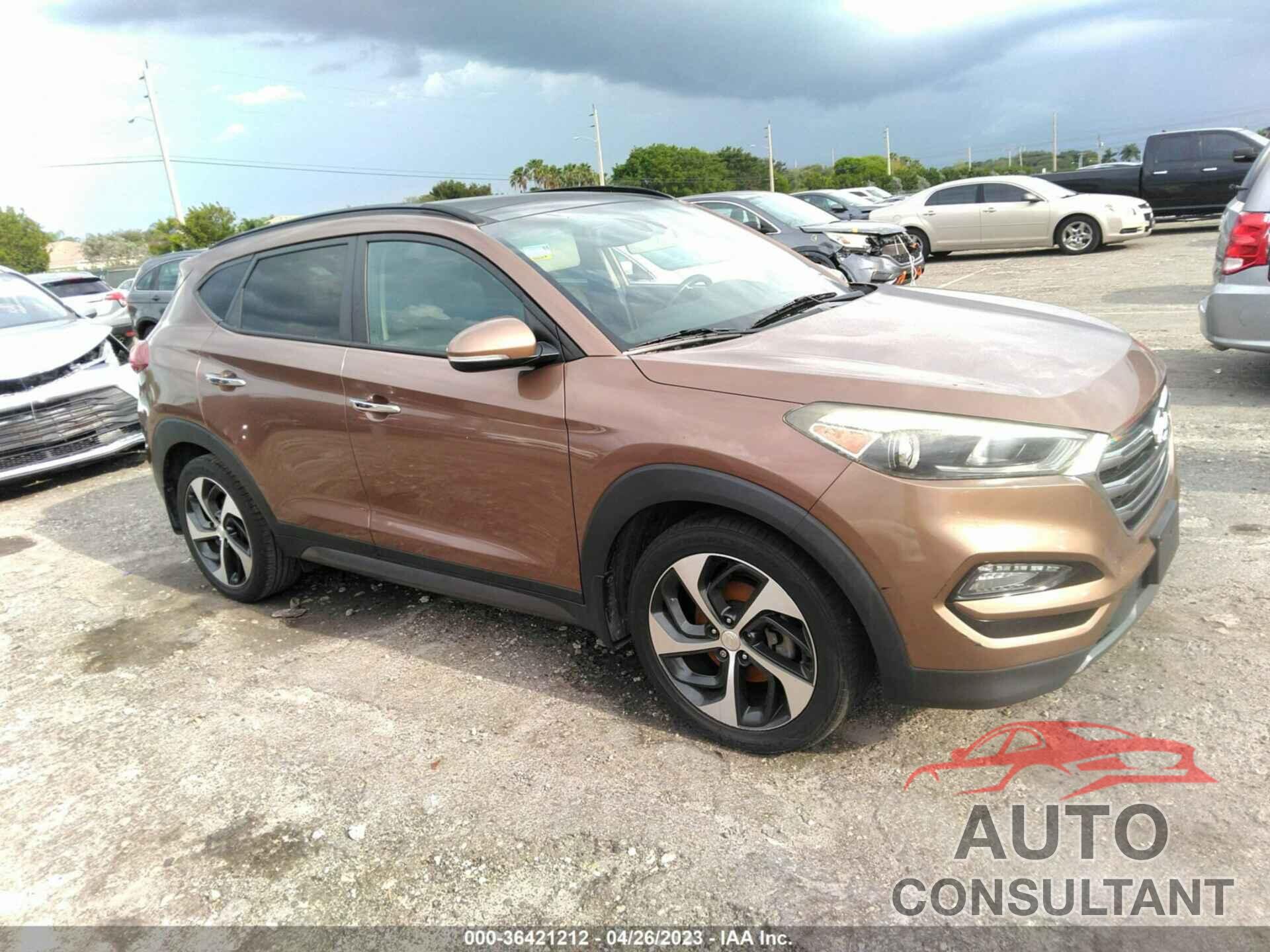 HYUNDAI TUCSON 2016 - KM8J33A22GU088125