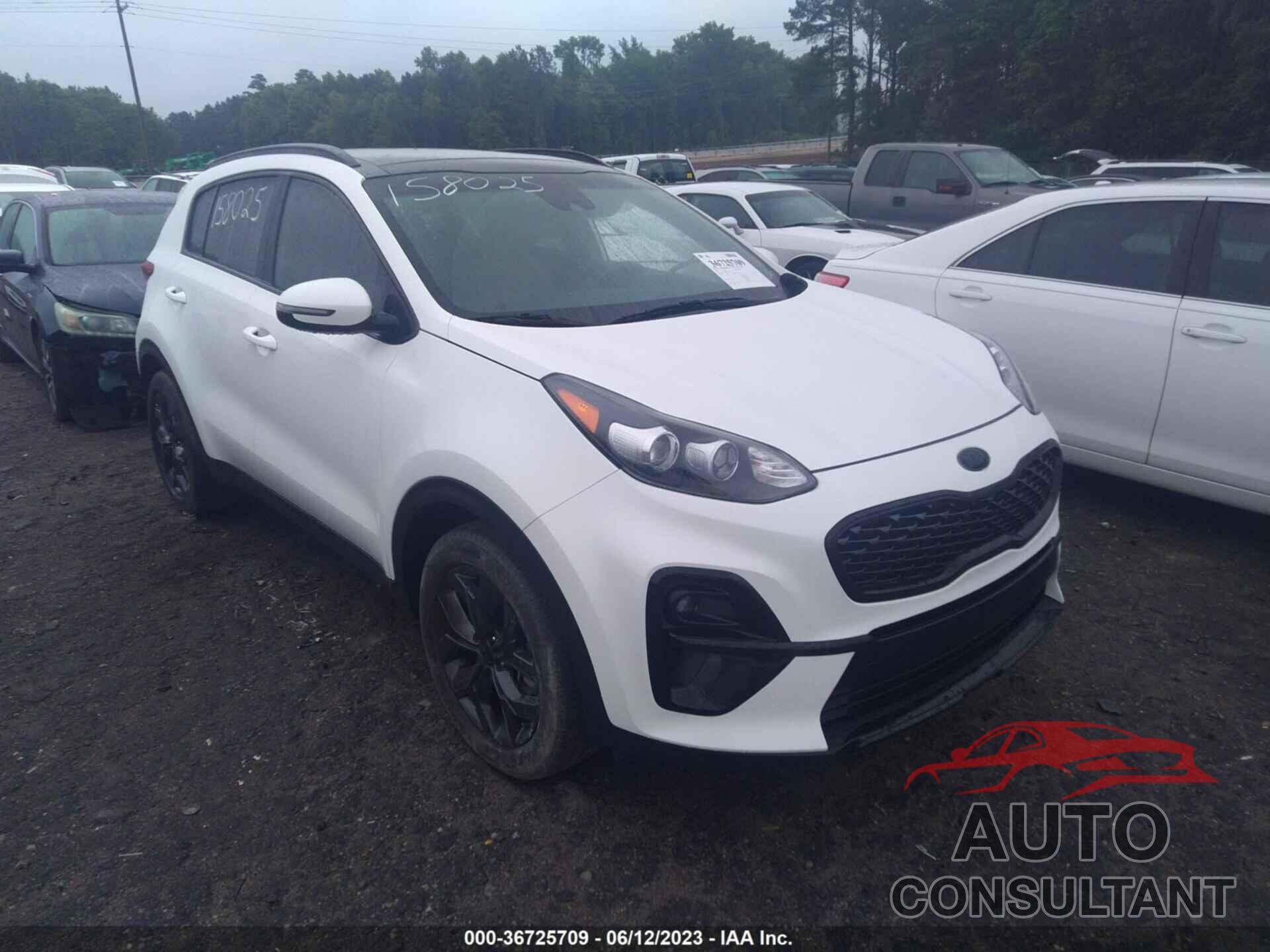 KIA SPORTAGE 2021 - KNDP63AC3M7874993