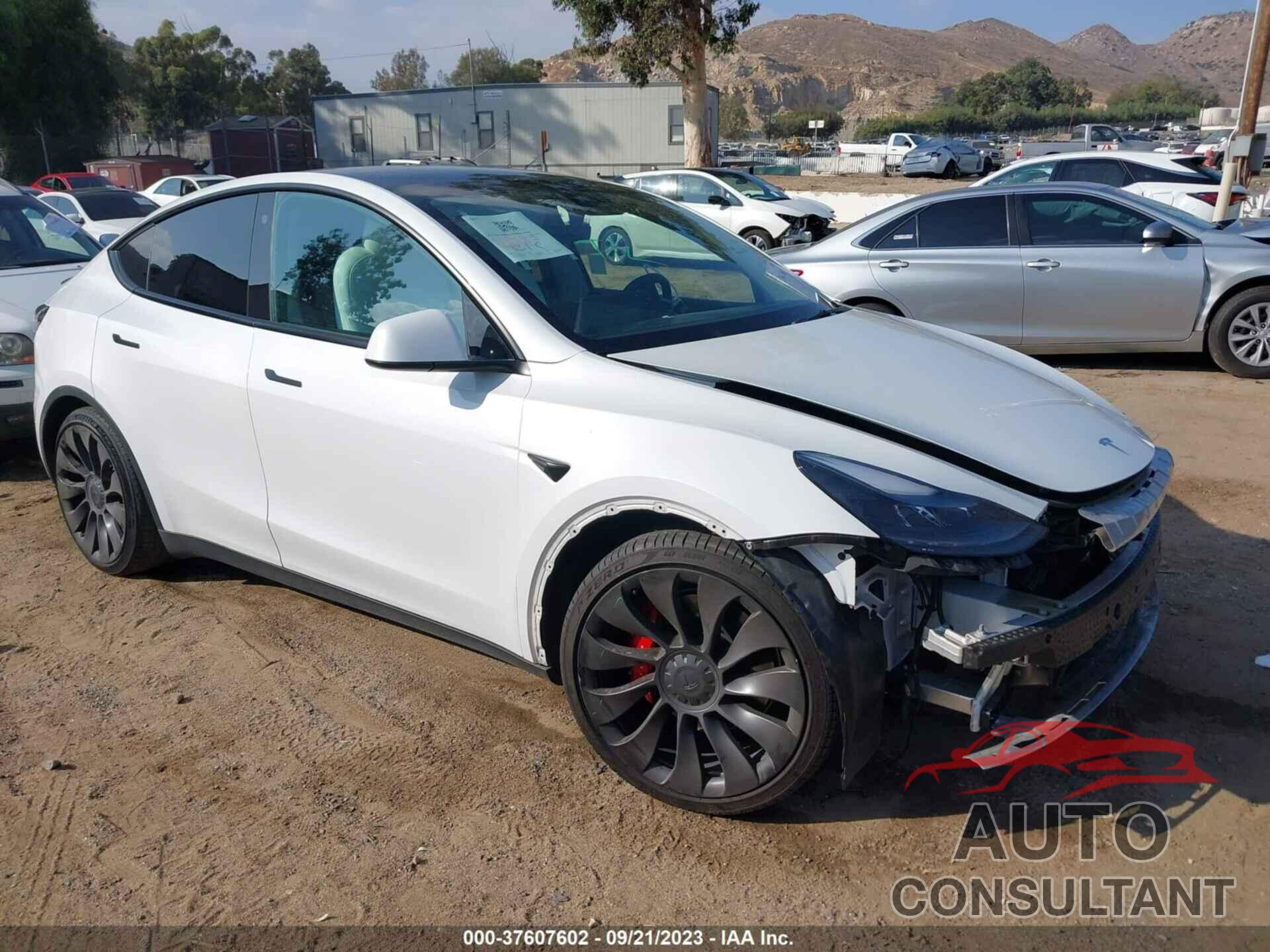 TESLA MODEL Y 2021 - 5YJYGDEF9MF230260