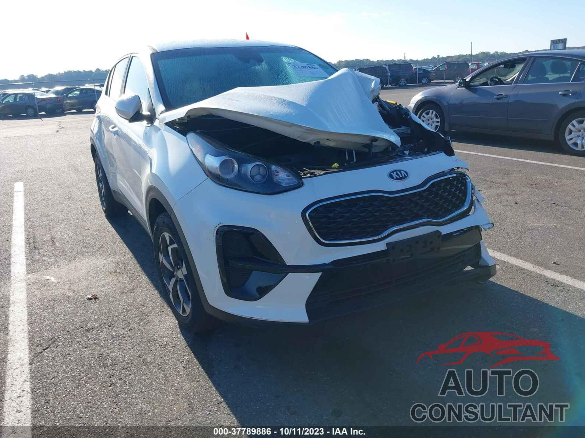 KIA SPORTAGE 2022 - KNDPM3AC2N7955622