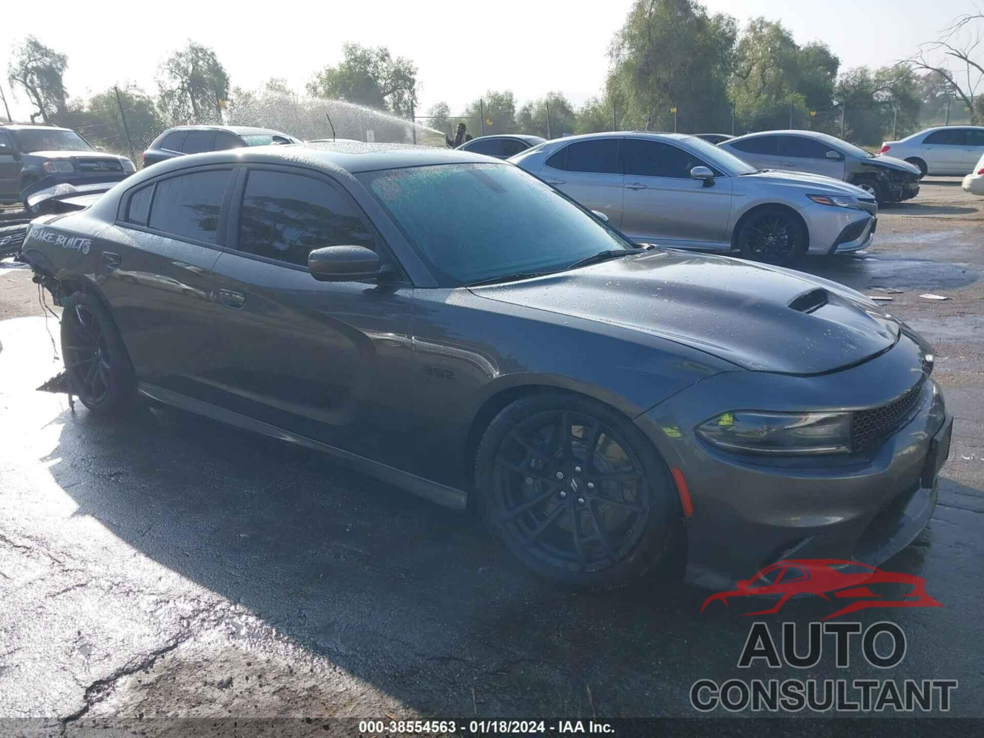 DODGE CHARGER 2018 - 2C3CDXGJ1JH313214