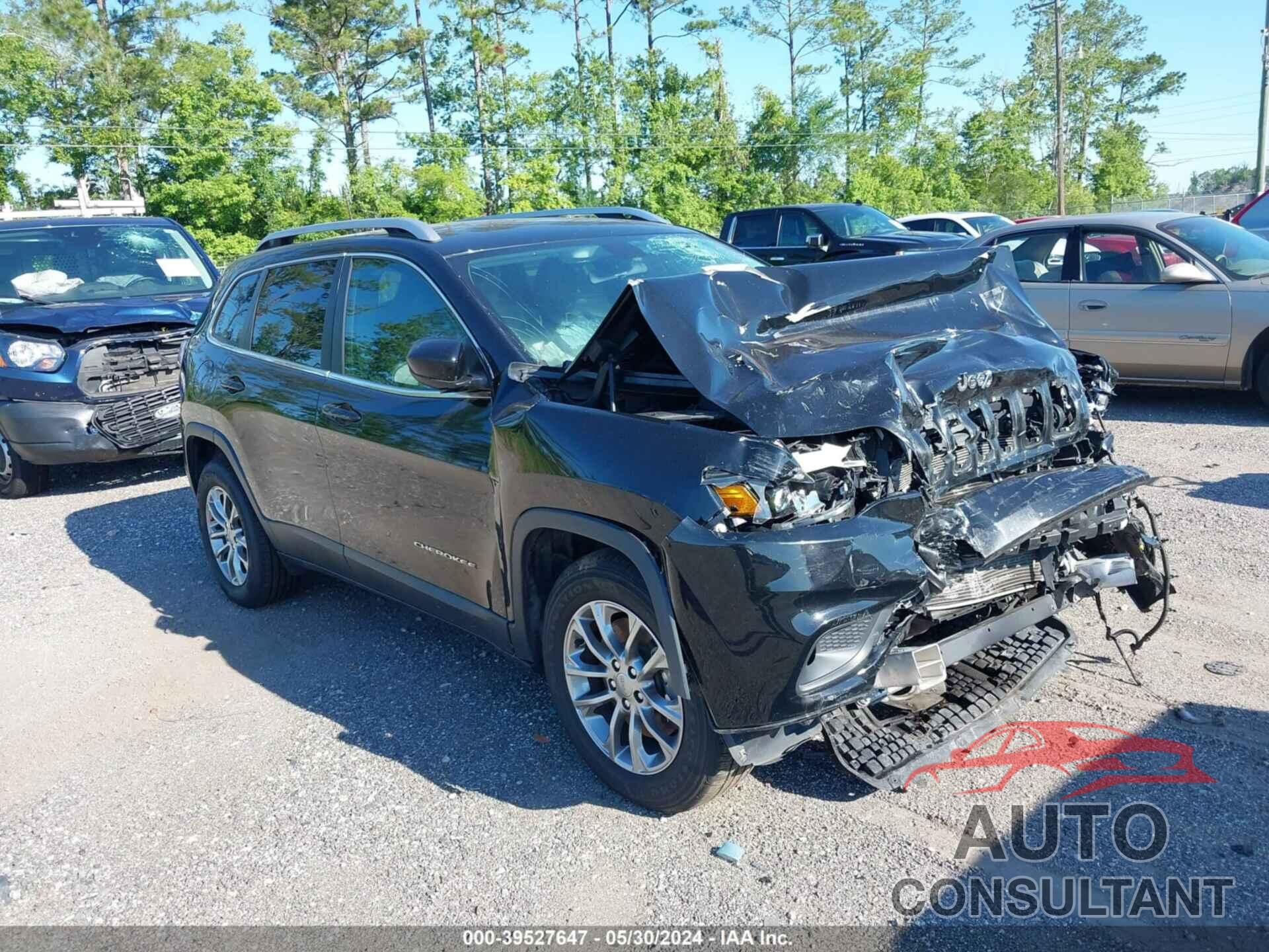 JEEP CHEROKEE 2019 - 1C4PJMLN9KD212014