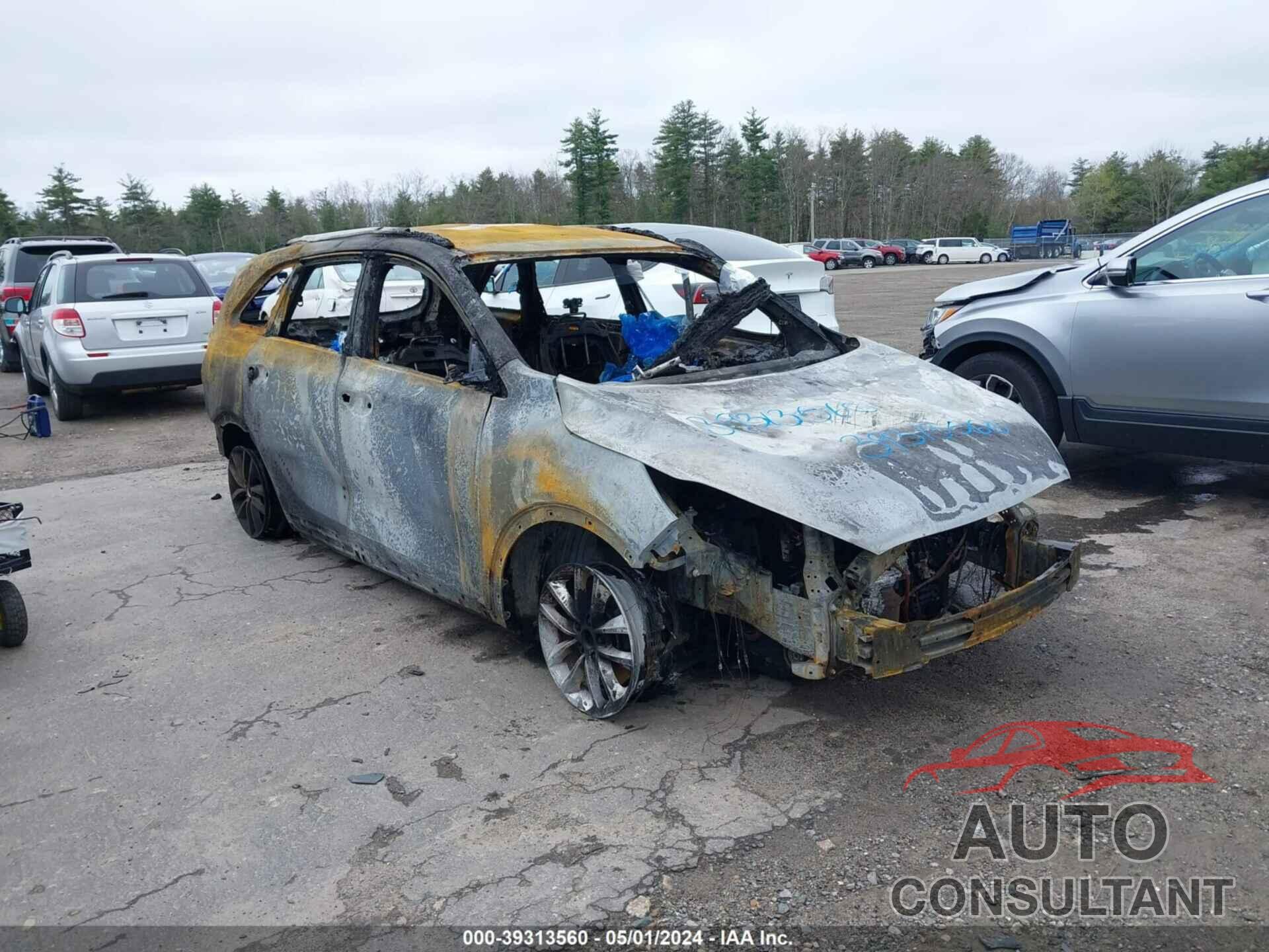 KIA SORENTO 2017 - 5XYPGDA5XHG199589