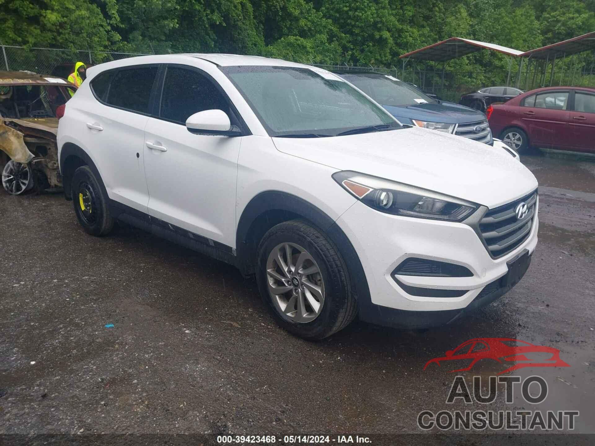 HYUNDAI TUCSON 2016 - KM8J23A42GU021142