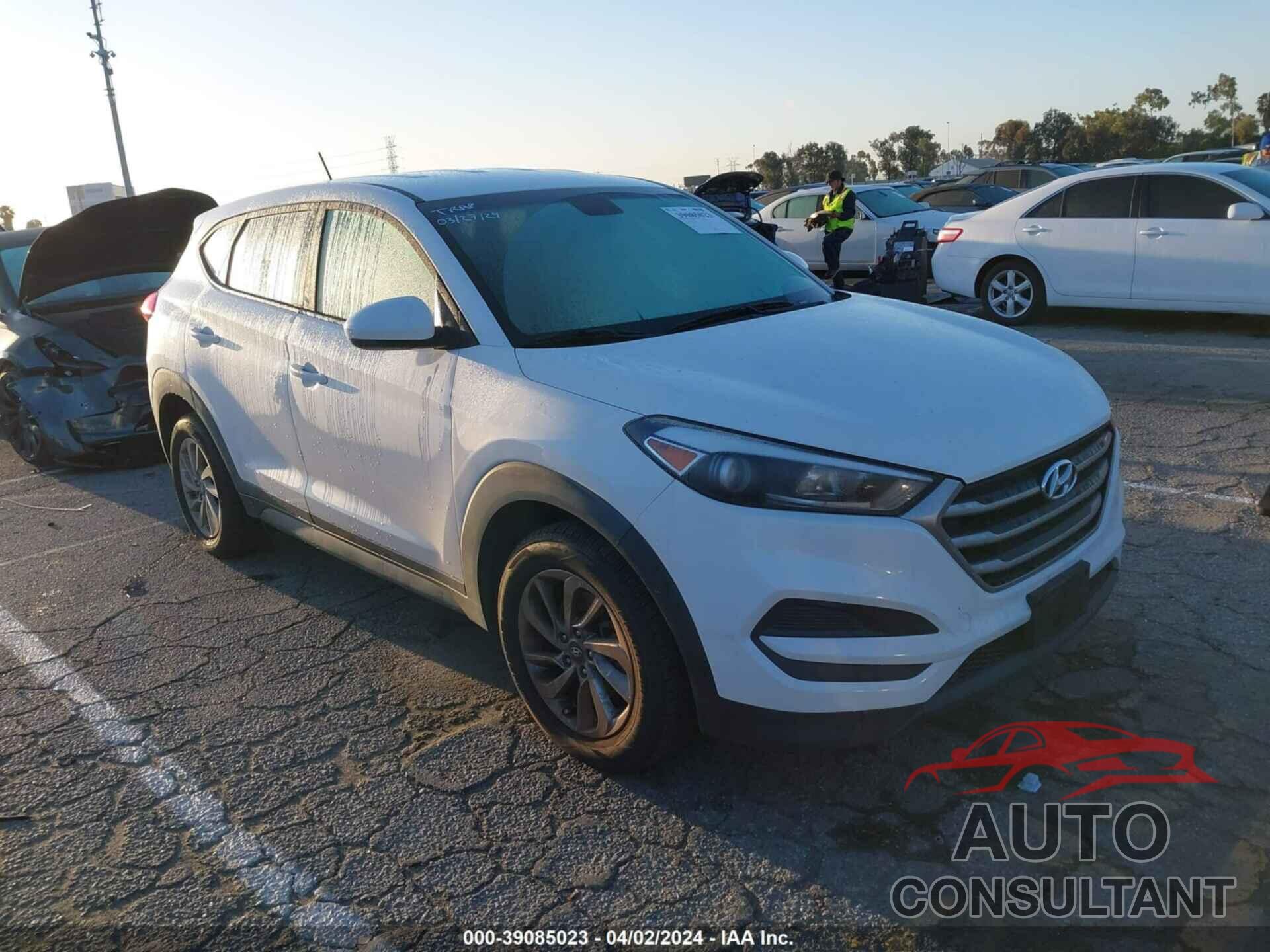 HYUNDAI TUCSON 2017 - KM8J23A41HU262594