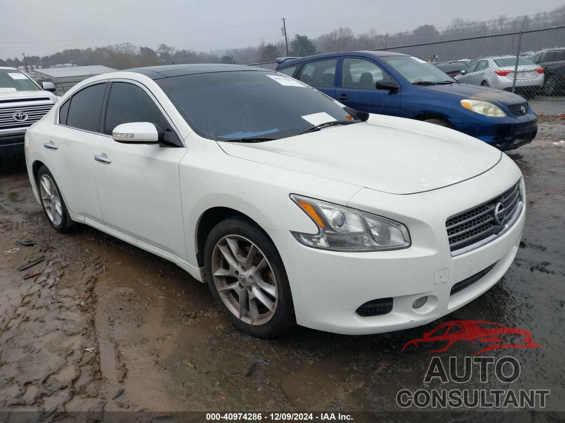 NISSAN MAXIMA 2010 - 1N4AA5AP6AC808014