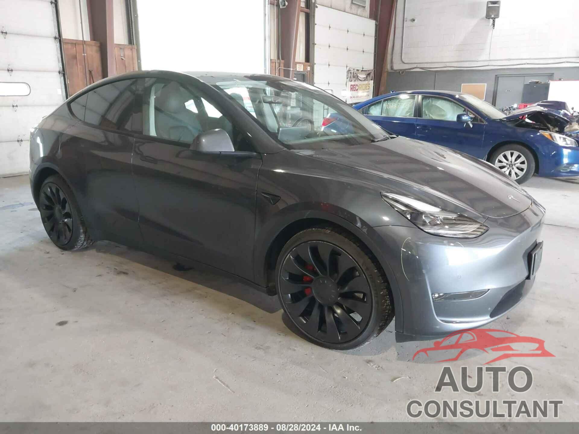 TESLA MODEL Y 2022 - 7SAYGDEF3NF379204