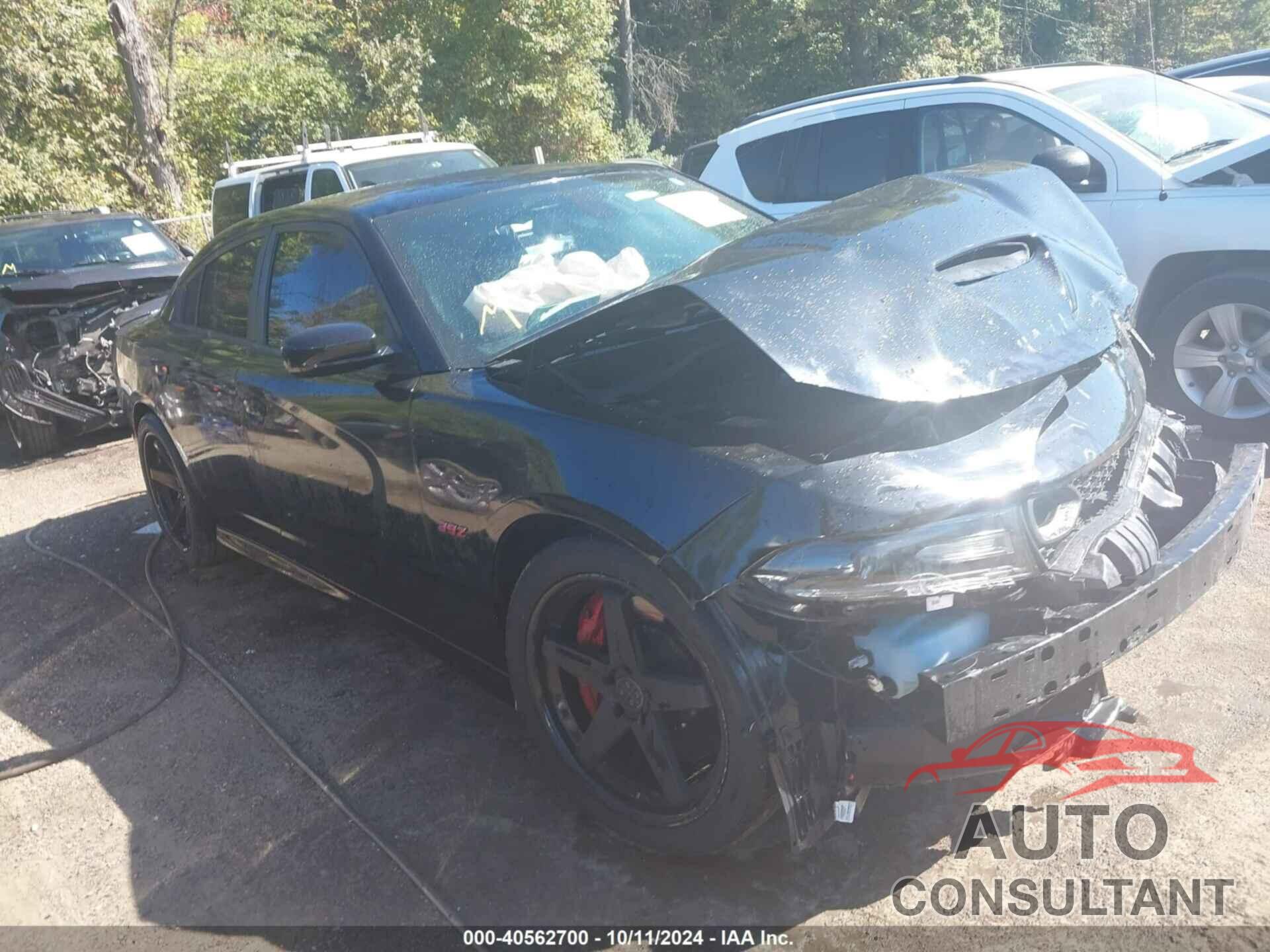 DODGE CHARGER 2019 - 2C3CDXGJ2KH661945