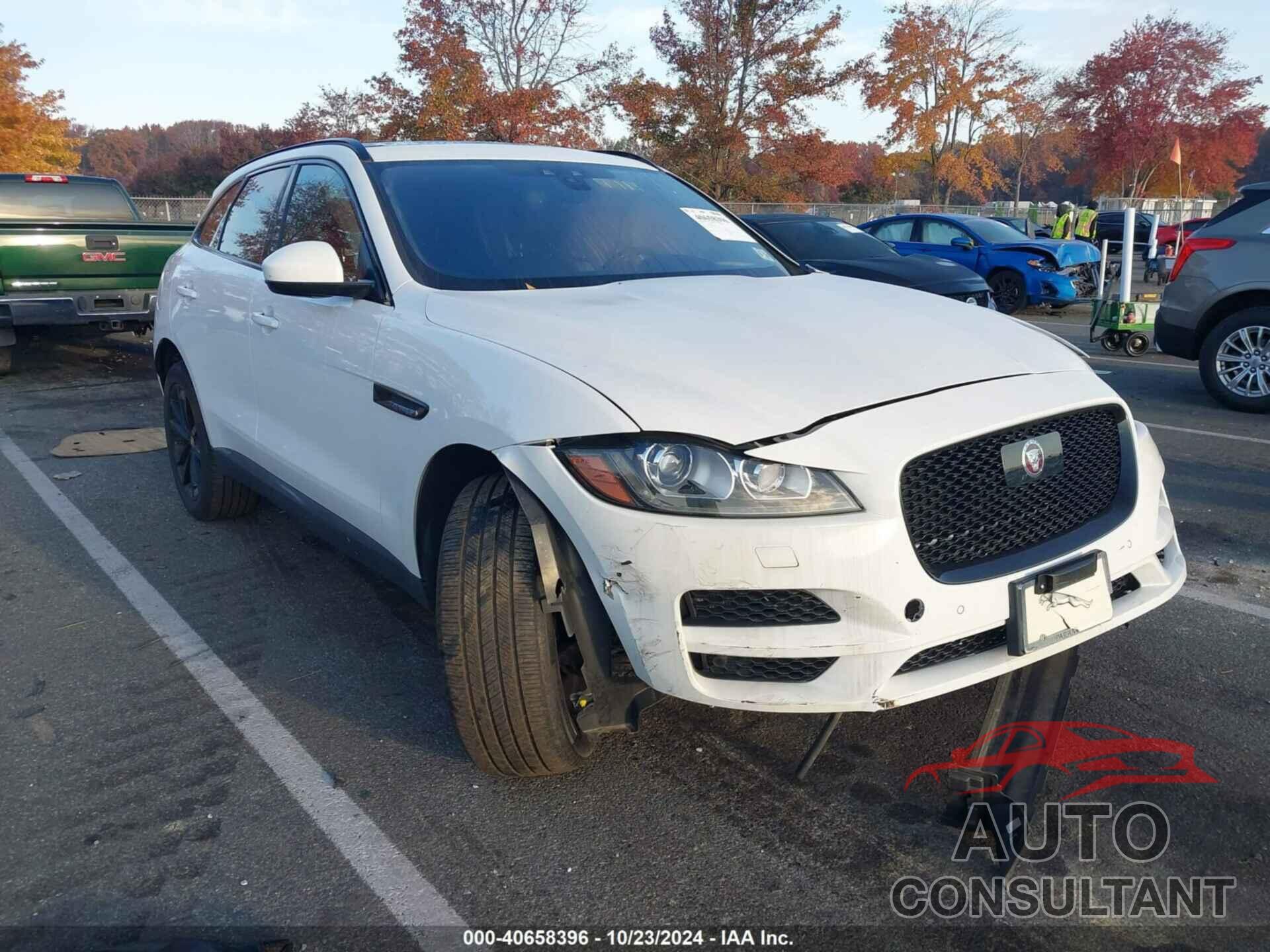 JAGUAR F-PACE 2019 - SADCK2FX7KA609904