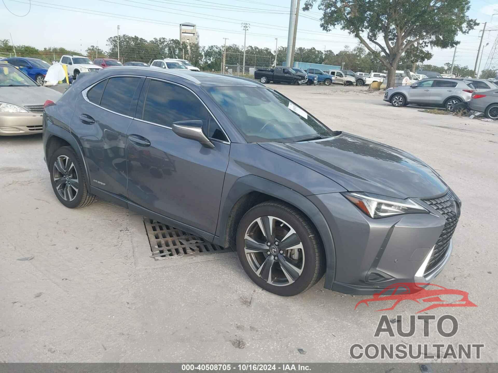 LEXUS UX 250H 2020 - JTHP9JBH0L2024819