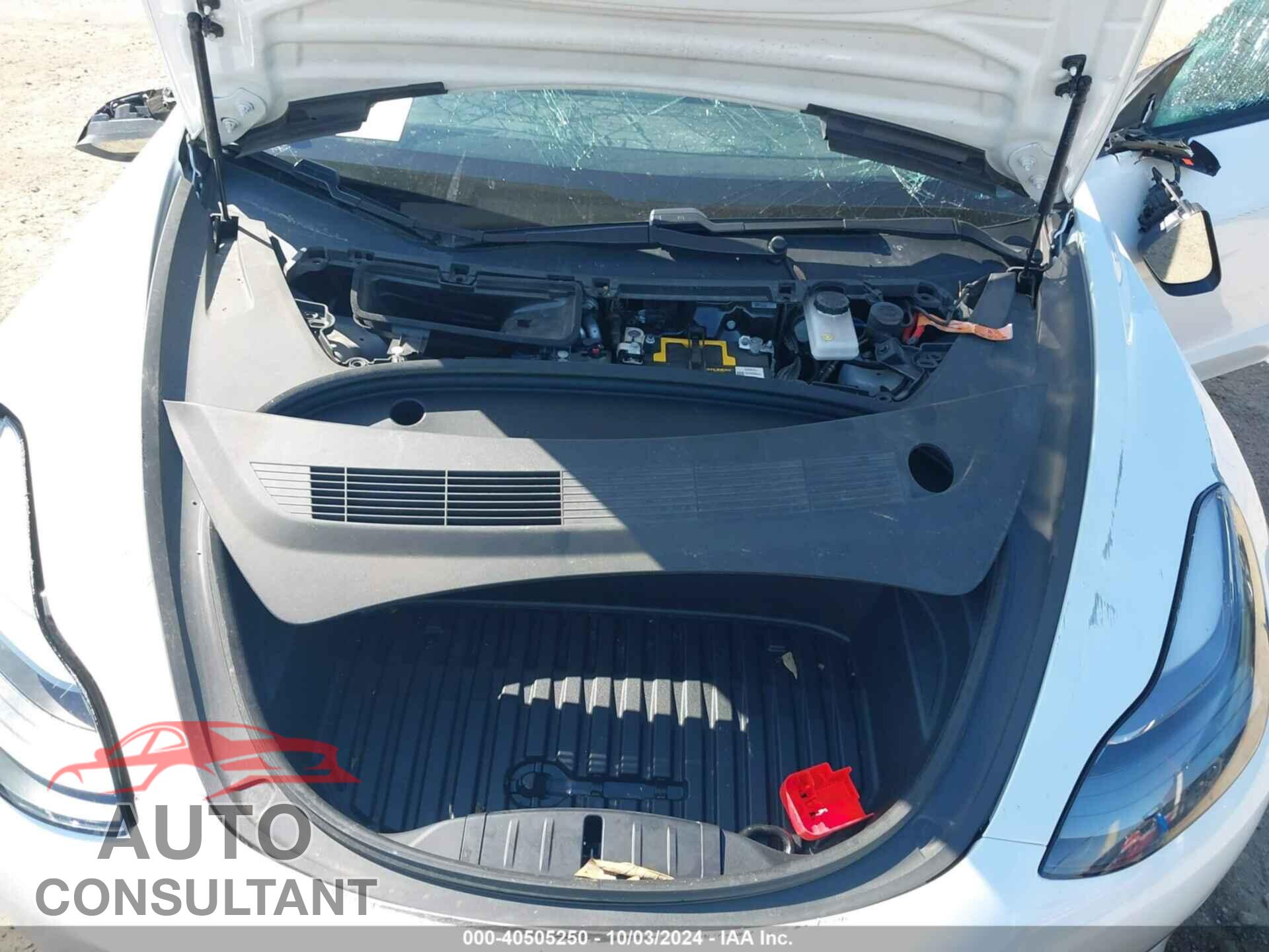 TESLA MODEL 3 2021 - 5YJ3E1EA6MF907879