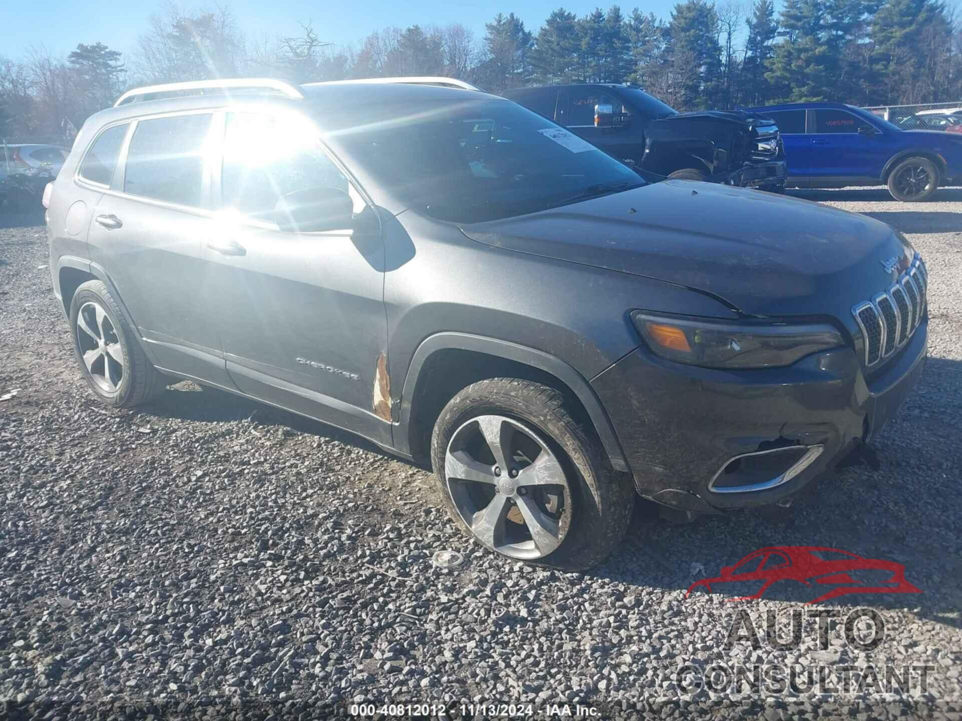 JEEP CHEROKEE 2019 - 1C4PJMDX0KD460068