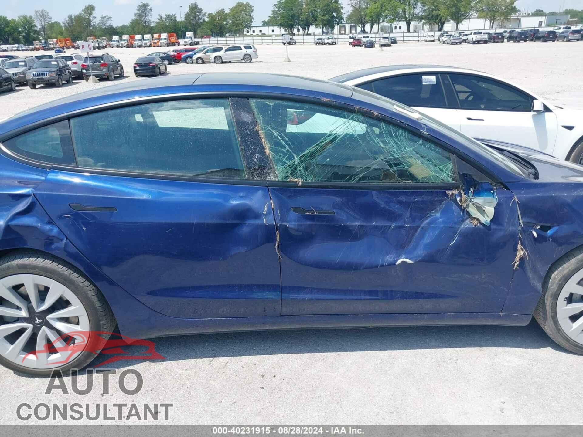 TESLA MODEL 3 2021 - 5YJ3E1EA8MF922075
