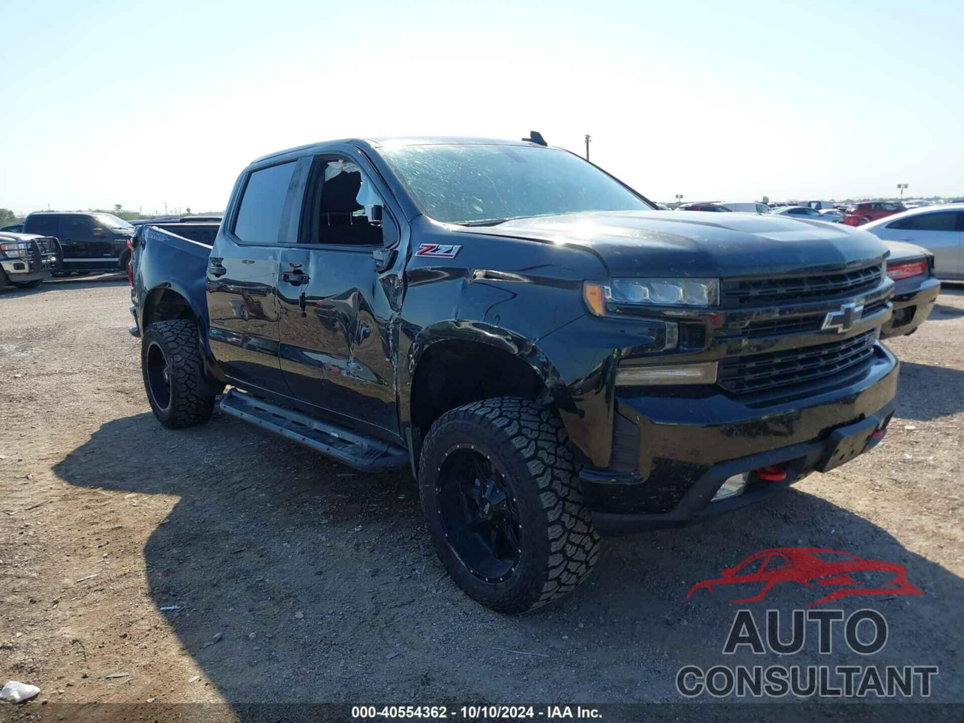 CHEVROLET SILVERADO 1500 2019 - 3GCPYFED3KG136188