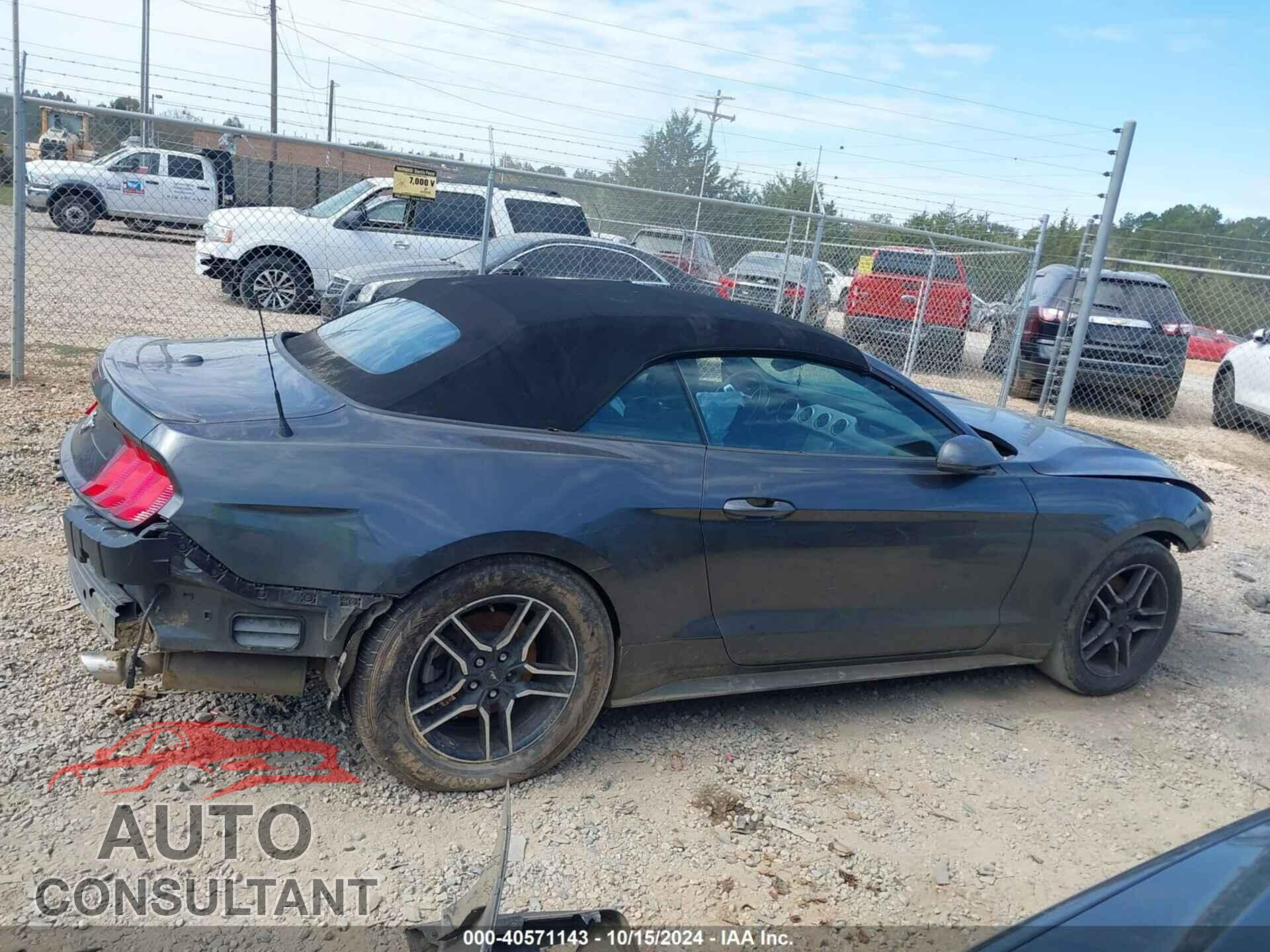 FORD MUSTANG 2019 - 1FATP8UH2K5181668