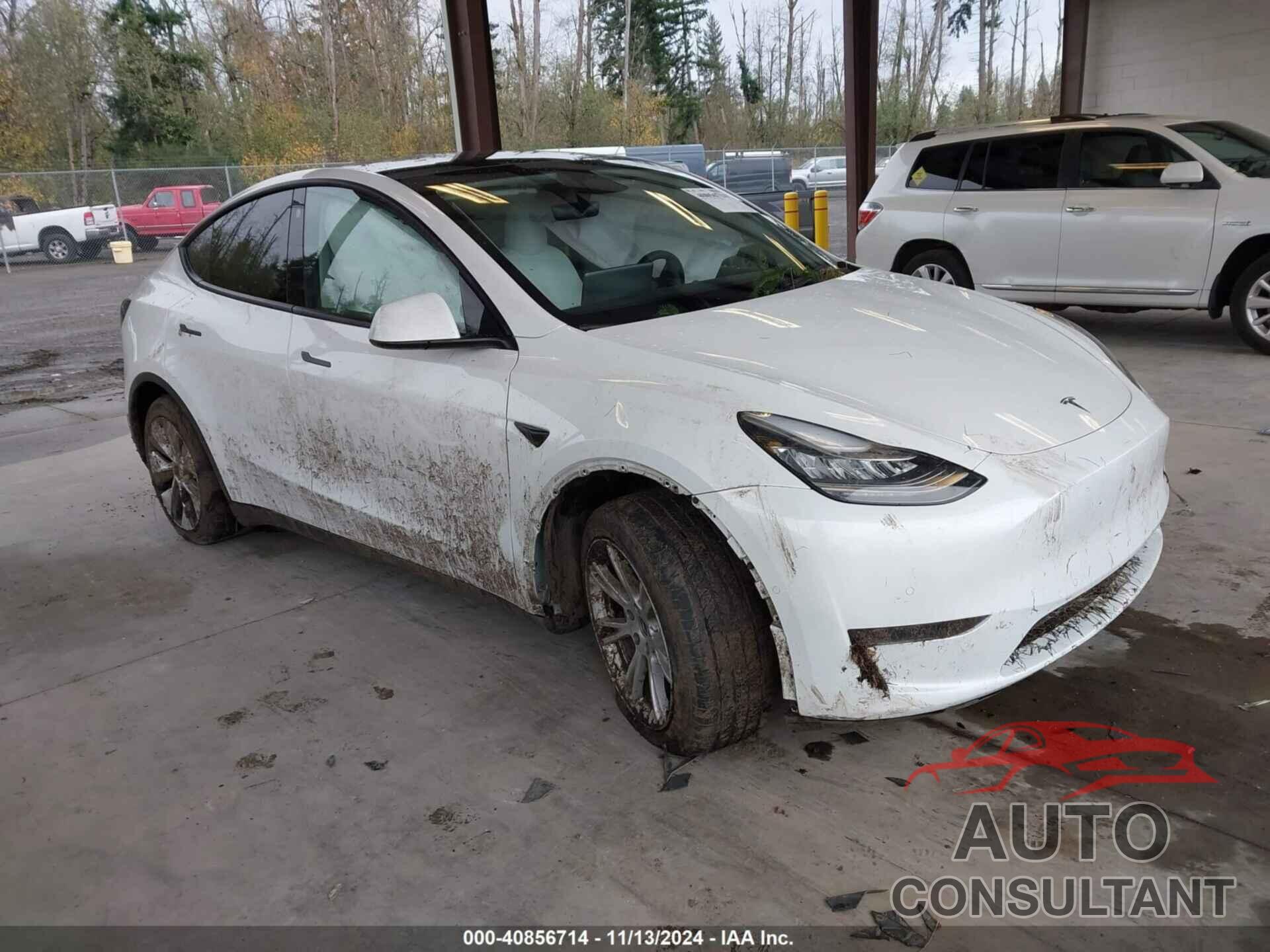 TESLA MODEL Y 2022 - 7SAYGDEE1NF458703