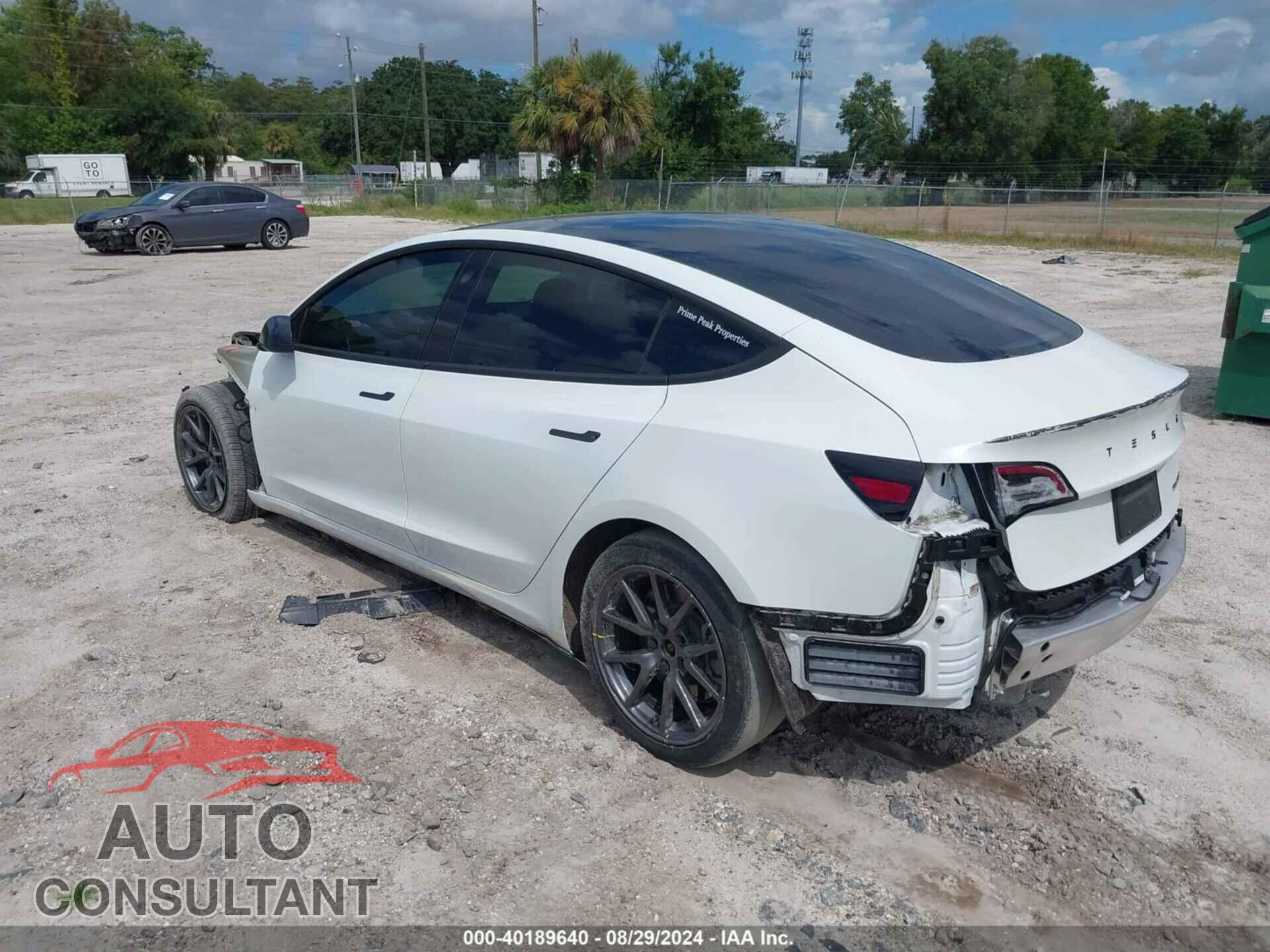 TESLA MODEL 3 2019 - 5YJ3E1EB2KF433273