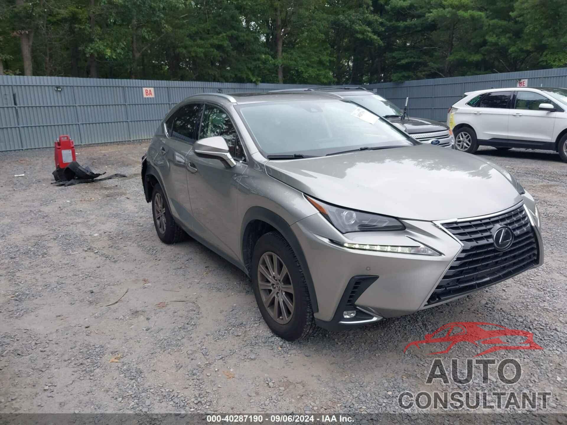 LEXUS NX 300 2020 - JTJDARDZ8L2219922