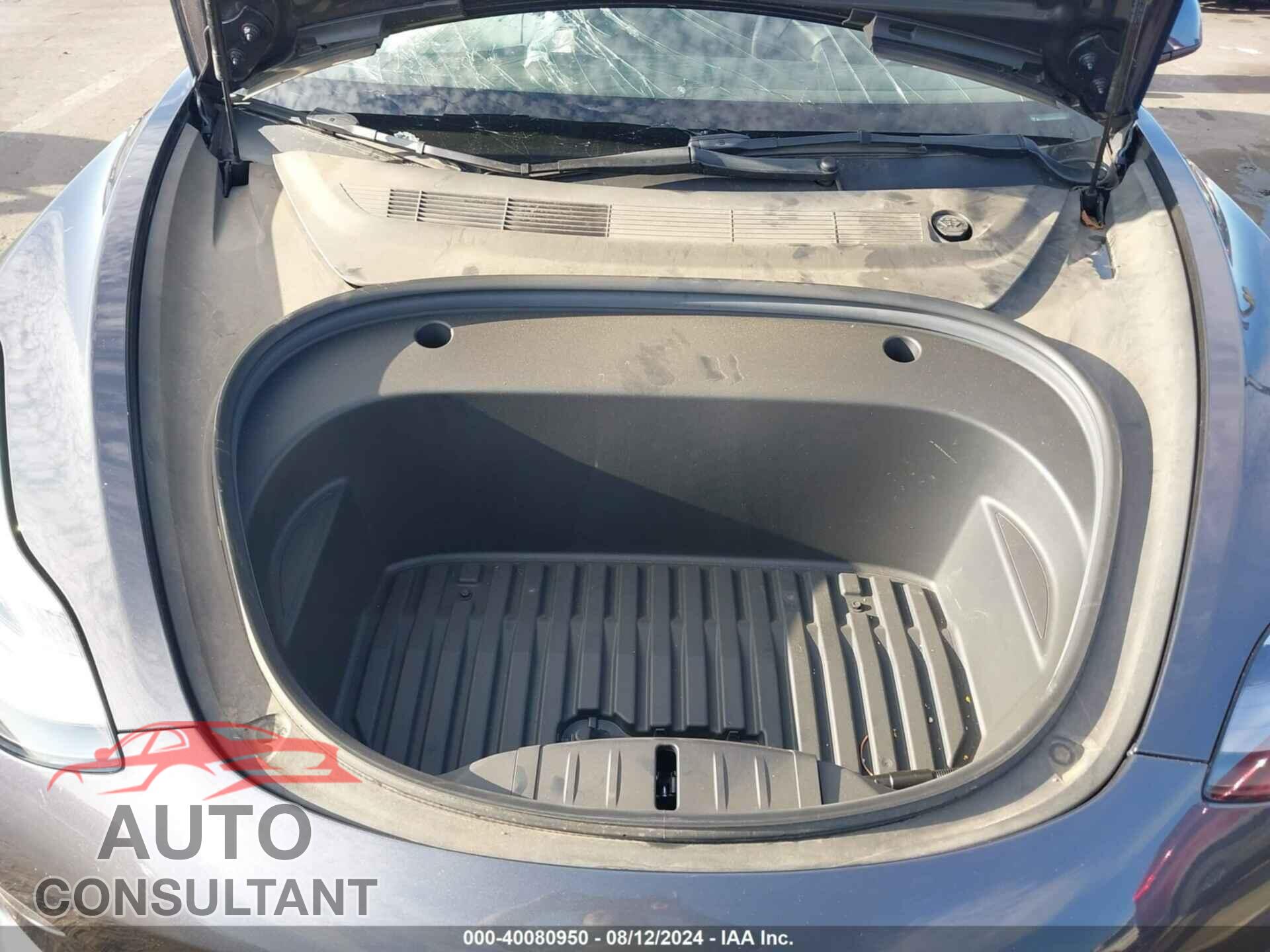 TESLA MODEL 3 2021 - 5YJ3E1EA9MF100496
