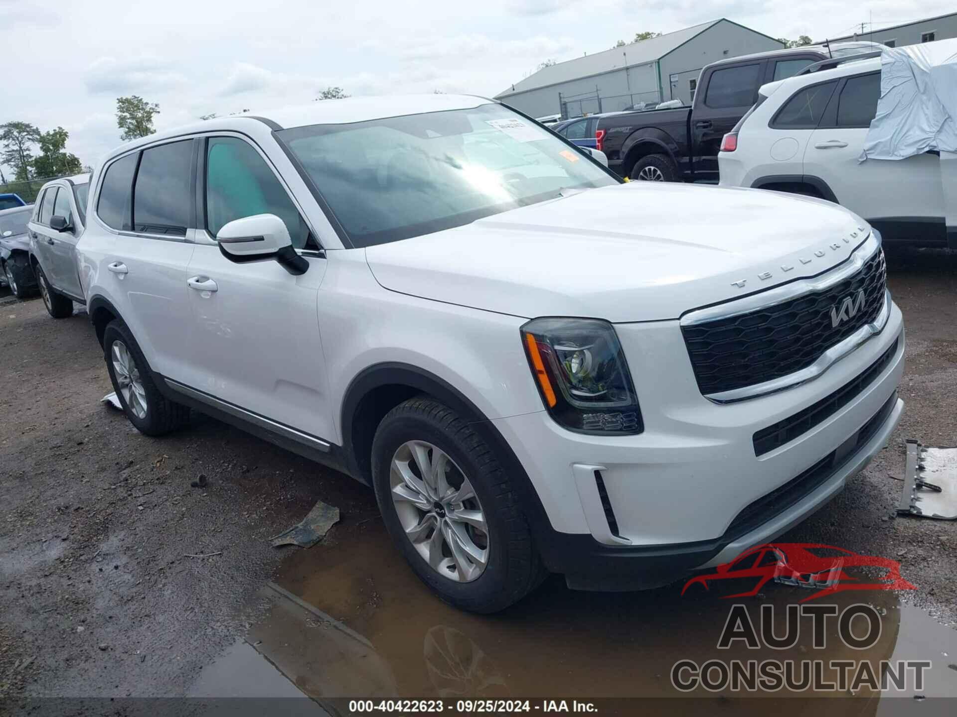 KIA TELLURIDE 2022 - 5XYP2DHC4NG195813