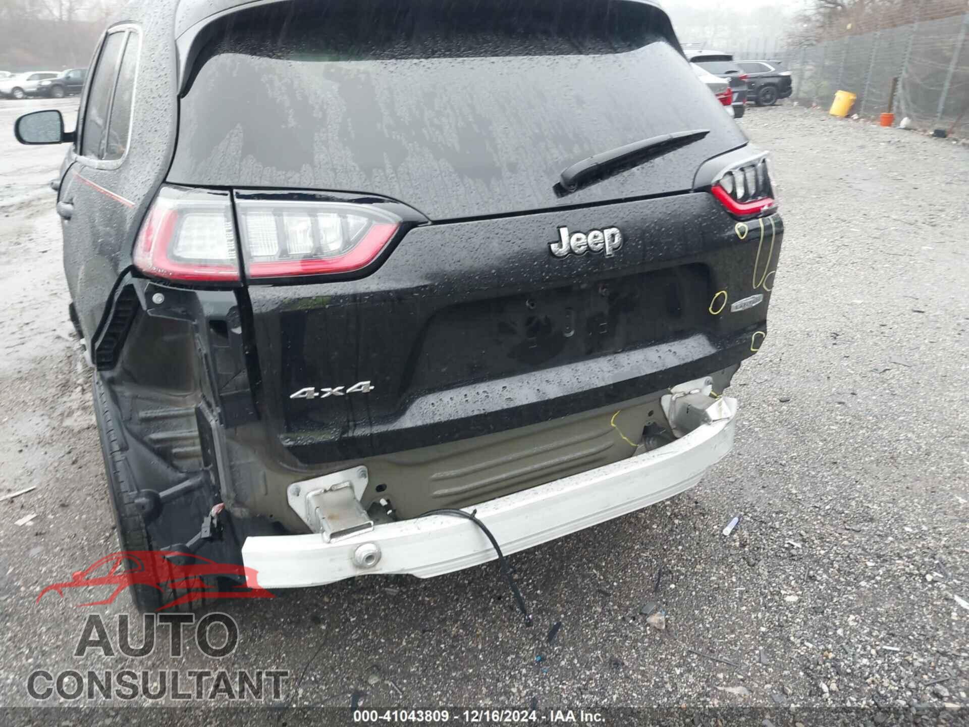 JEEP CHEROKEE 2019 - 1C4PJMLX2KD271665