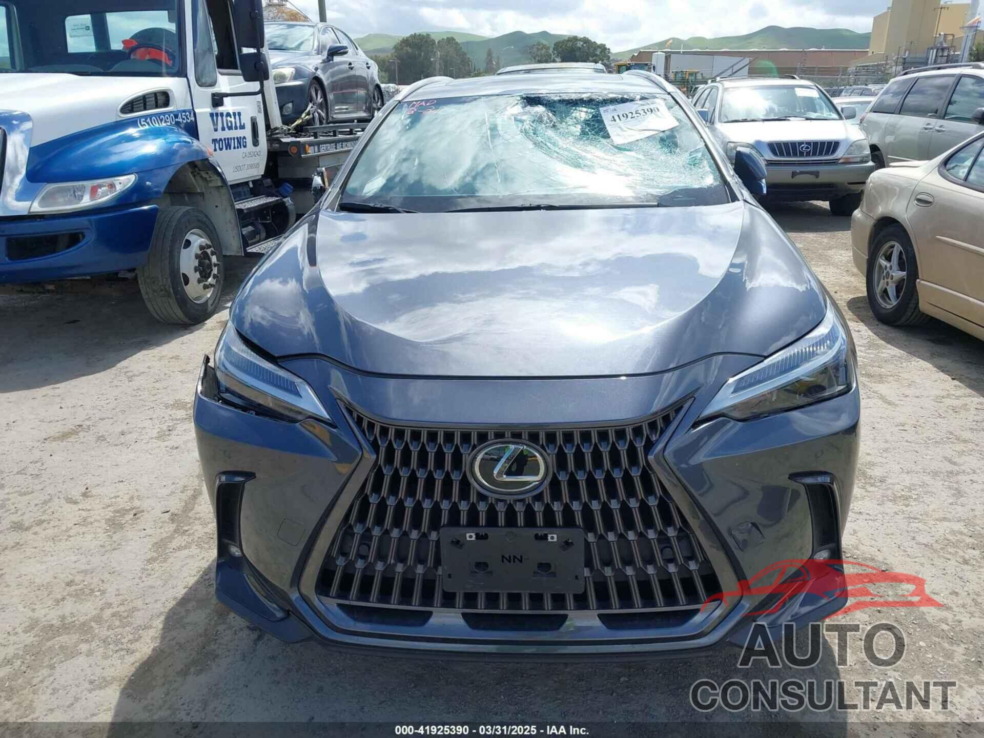 LEXUS NX 250 2024 - 2T2GDCAZ4RC006643