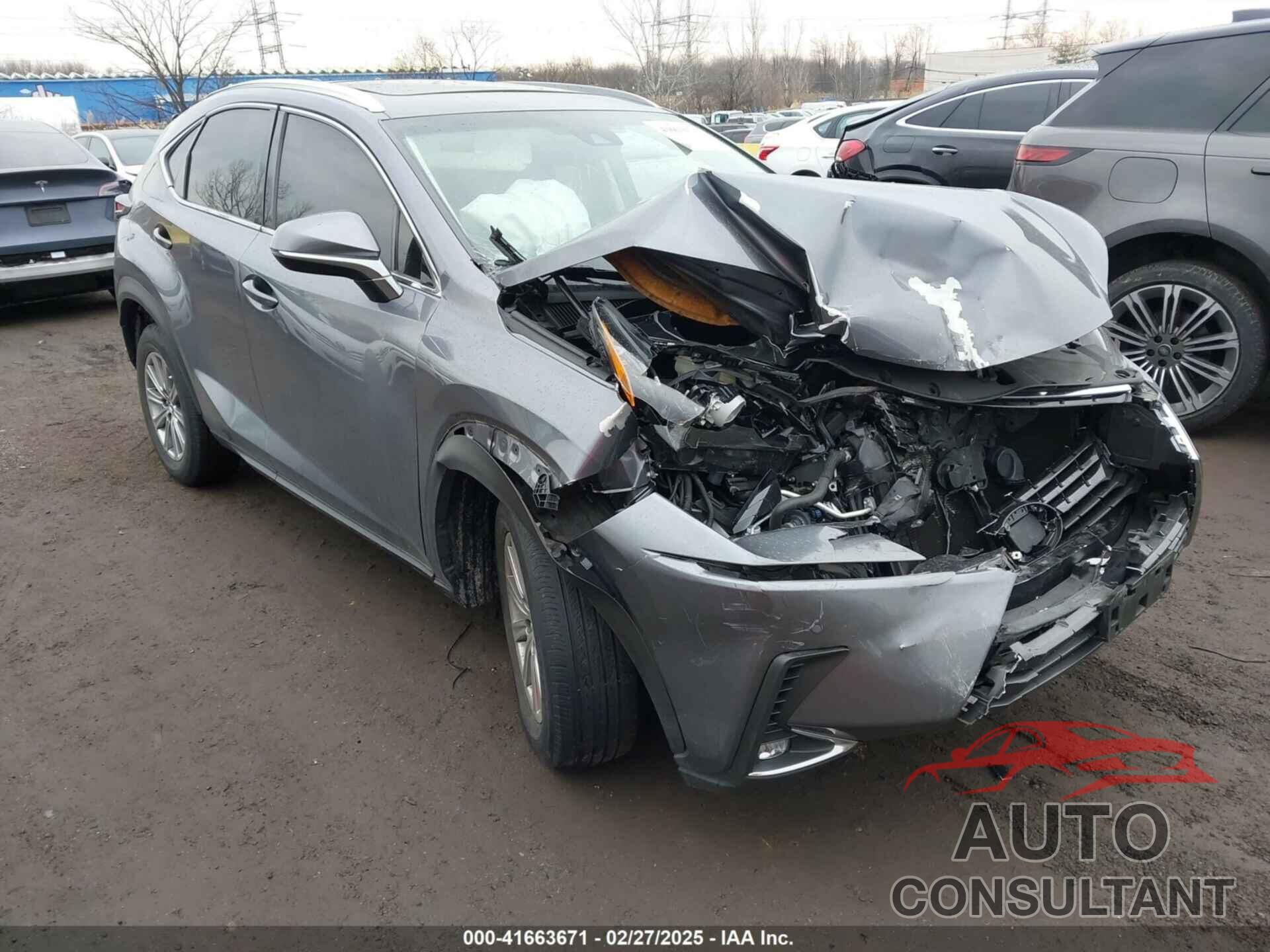 LEXUS NX 300 2019 - JTJBARBZ6K2217112