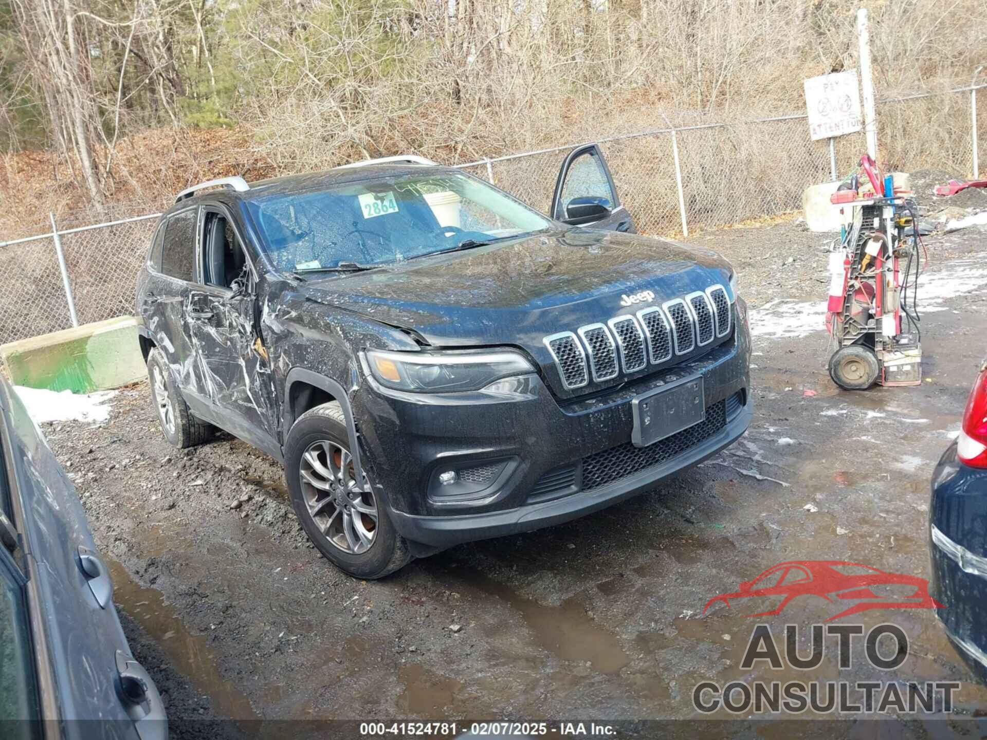 JEEP CHEROKEE 2019 - 1C4PJMLB0KD319703
