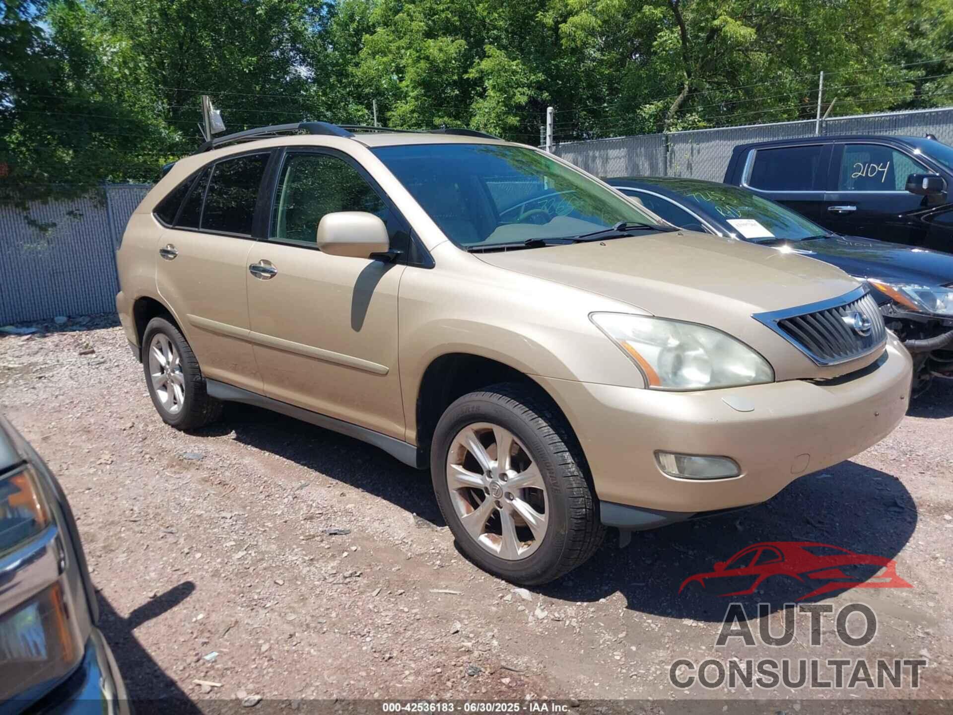 LEXUS RX 350 2009 - 2T2HK31U49C105509