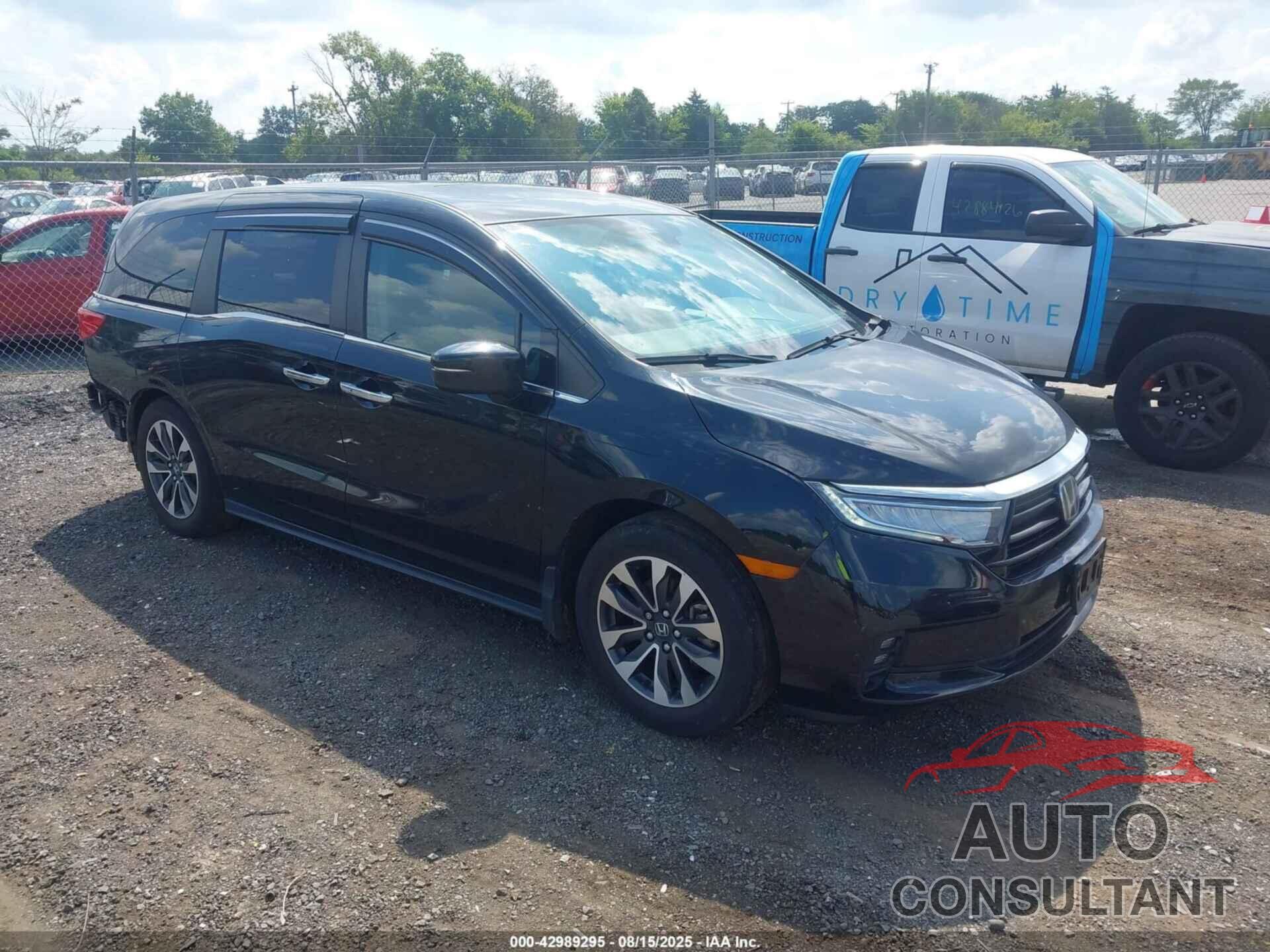 HONDA ODYSSEY 2021 - 5FNRL6H71MB012104