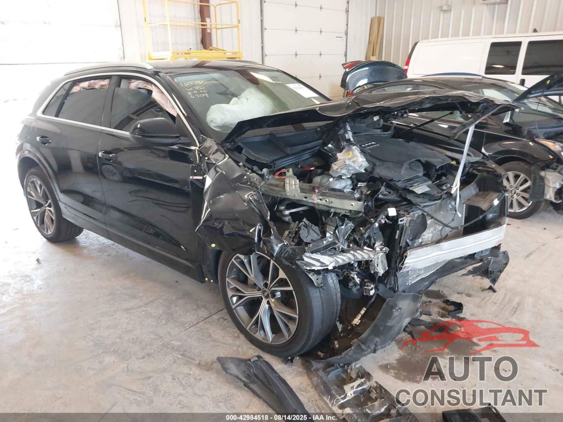 AUDI Q8 2023 - WA1EVBF19PD016309