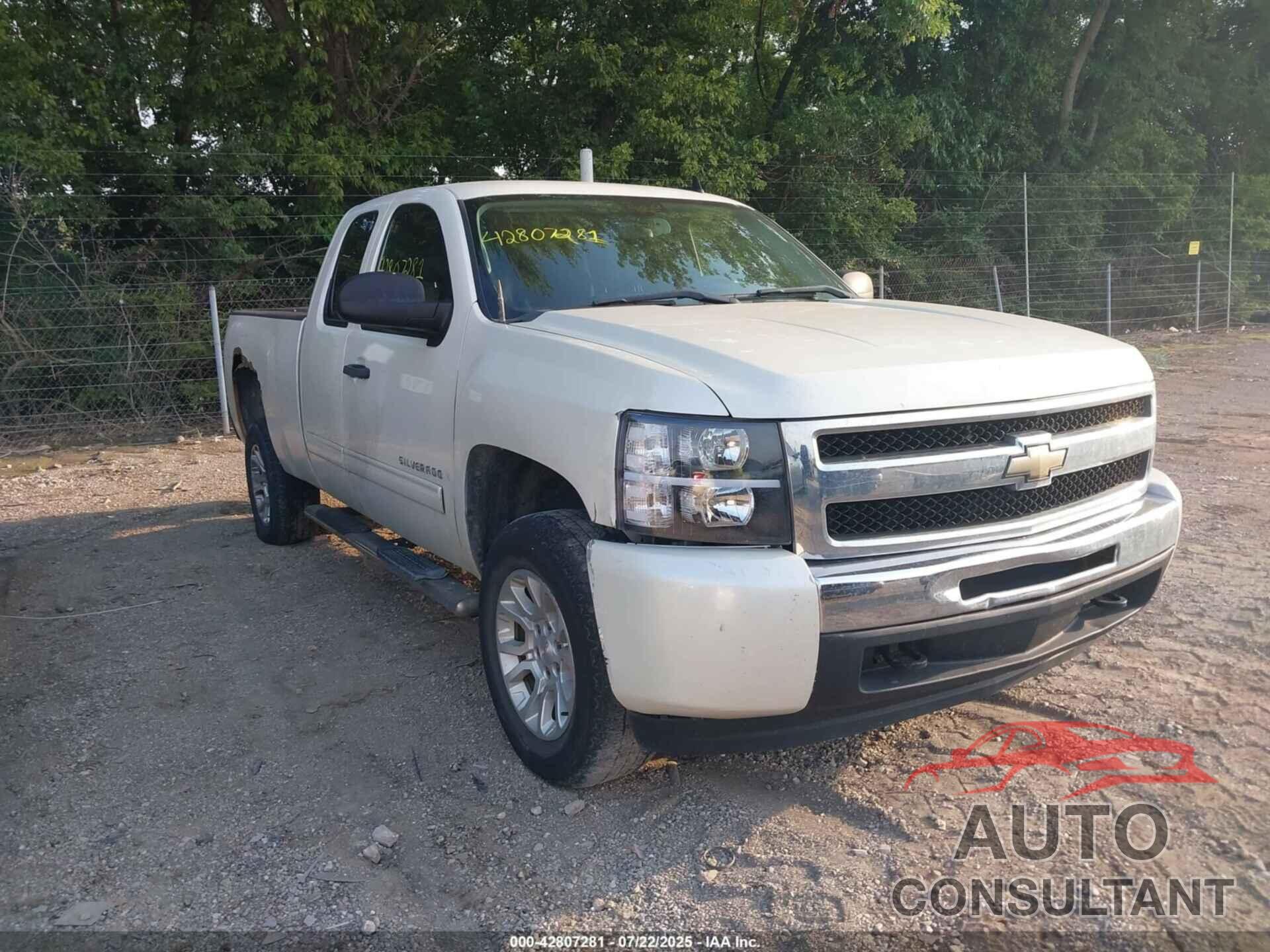 CHEVROLET SILVERADO 1500 2009 - 1GCEK29JX9Z181124