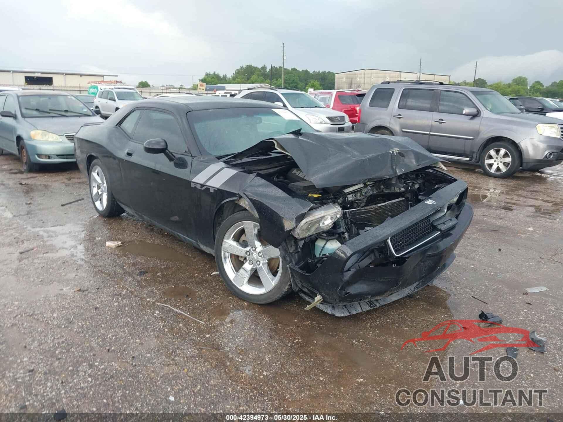DODGE CHALLENGER 2009 - 2B3LJ54T39H580205
