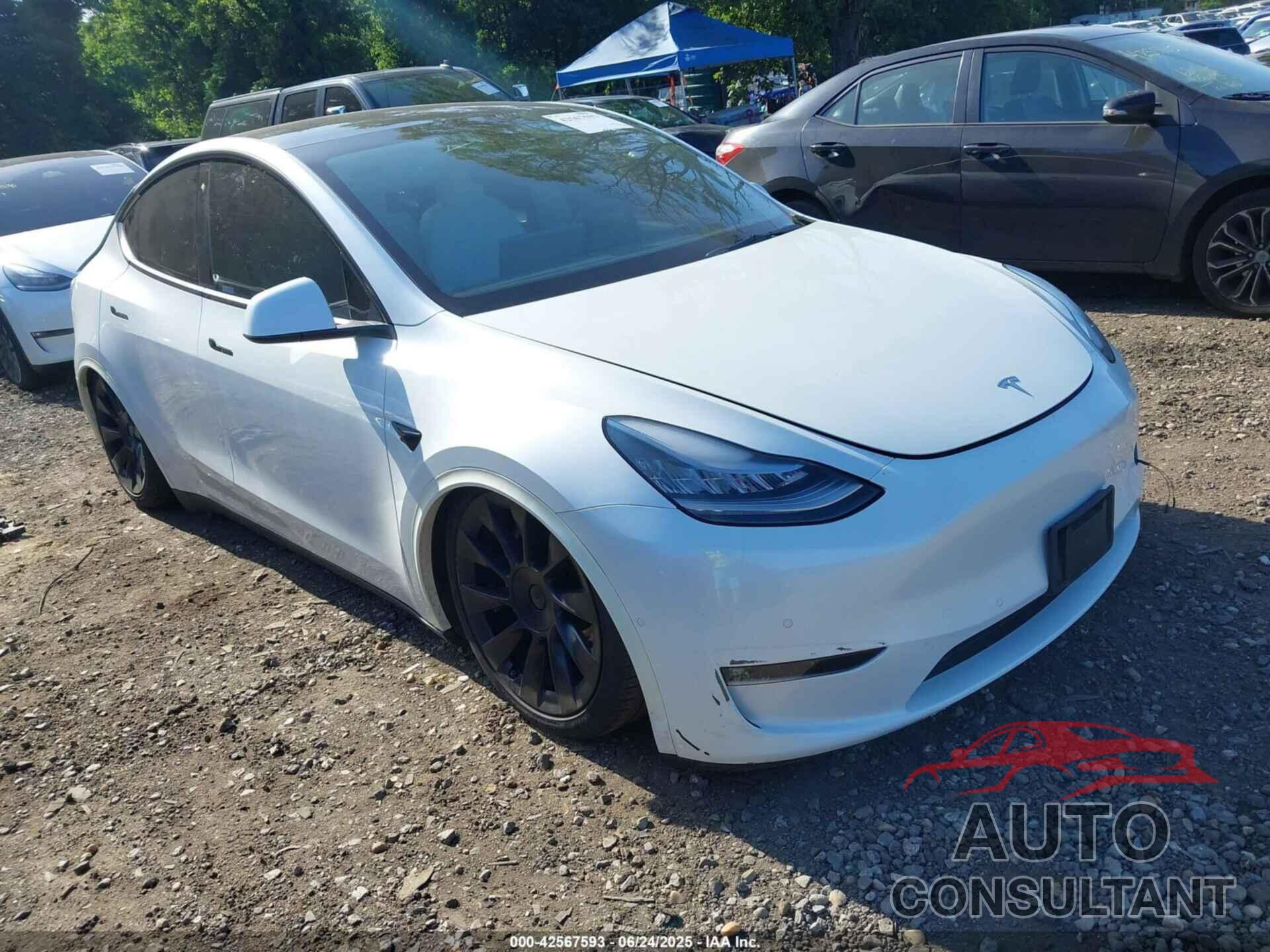 TESLA MODEL Y 2021 - 5YJYGDEE2MF112381