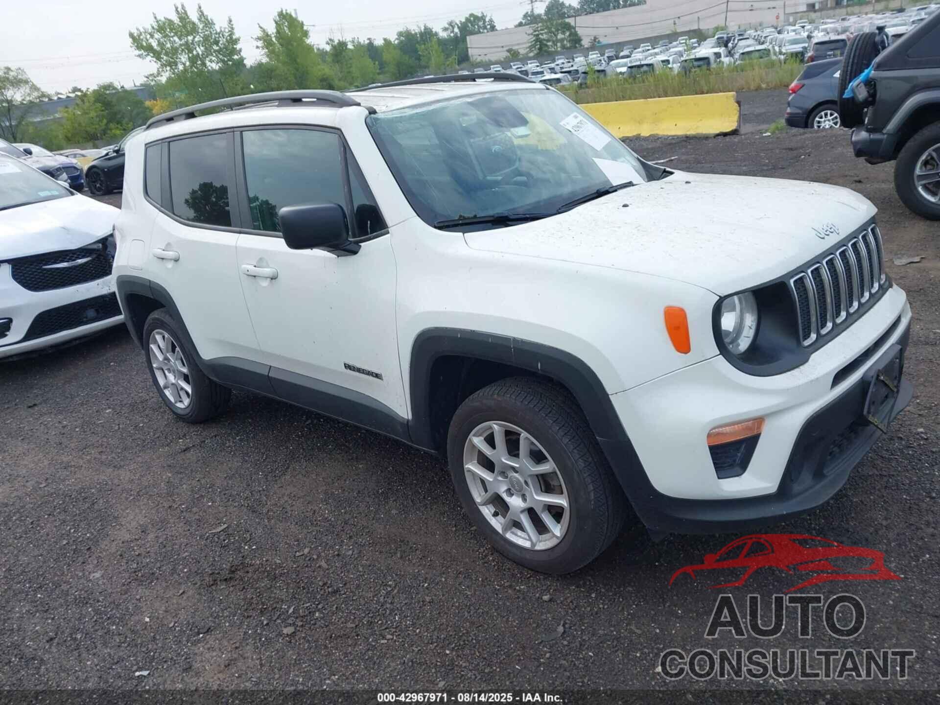 JEEP RENEGADE 2019 - ZACNJBAB1KPK81606