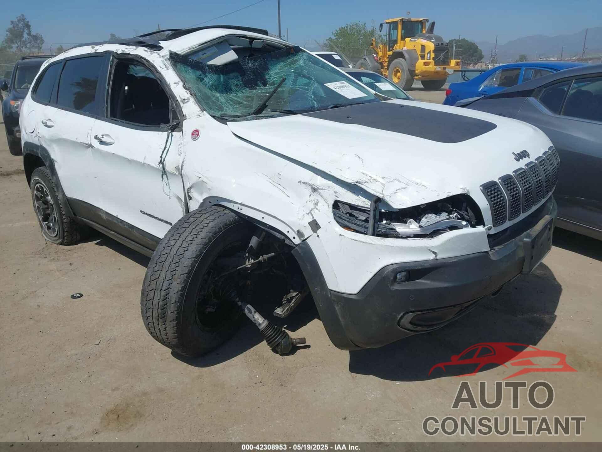 JEEP CHEROKEE 2019 - 1C4PJMBX8KD258582