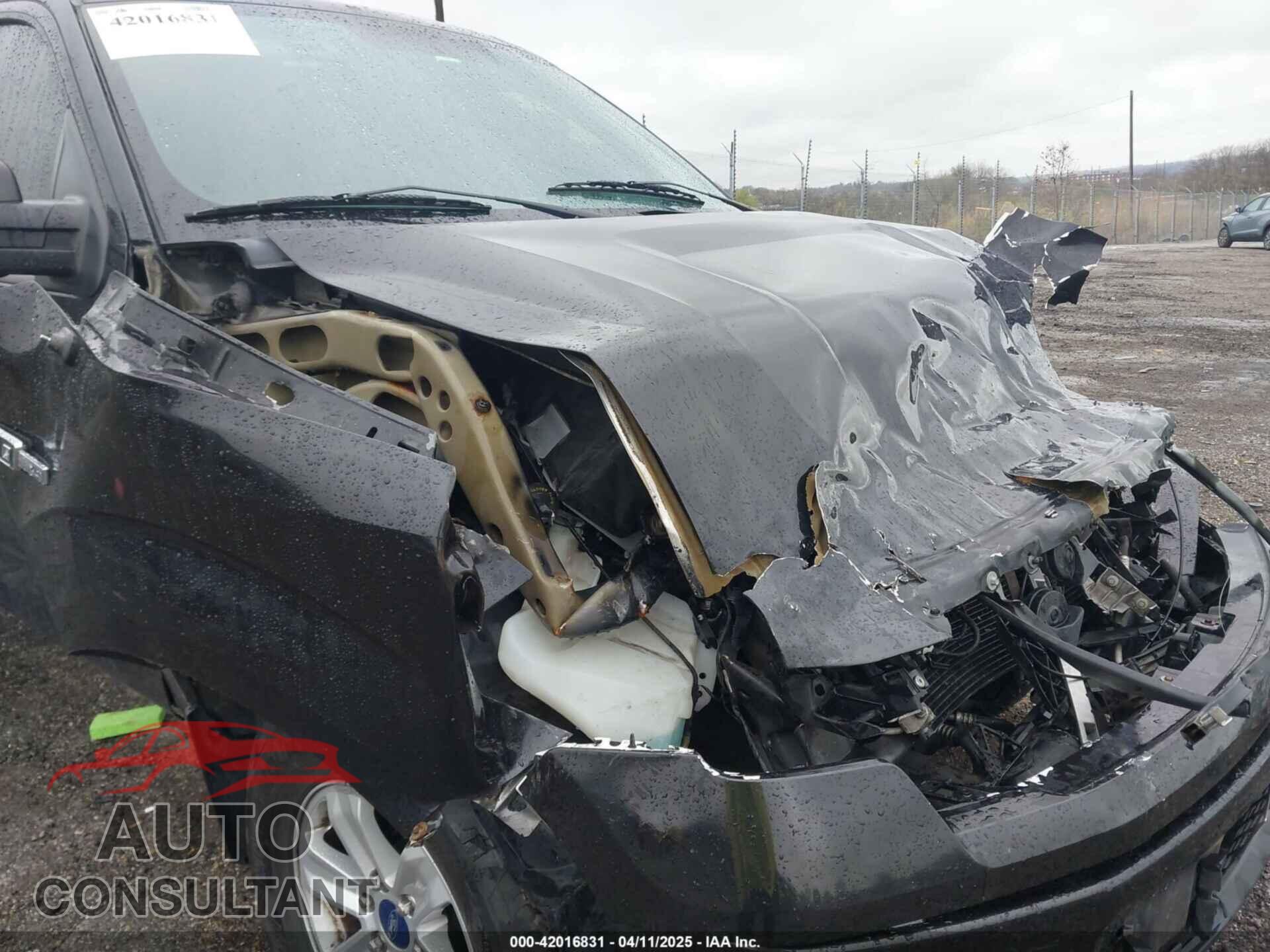 FORD F-150 2013 - 1FTFX1EF3DFD51982