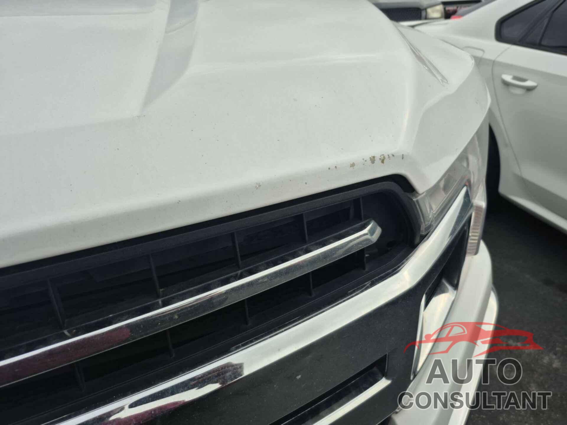 FORD F-150 2019 - 1FTFW1E54KKC92441
